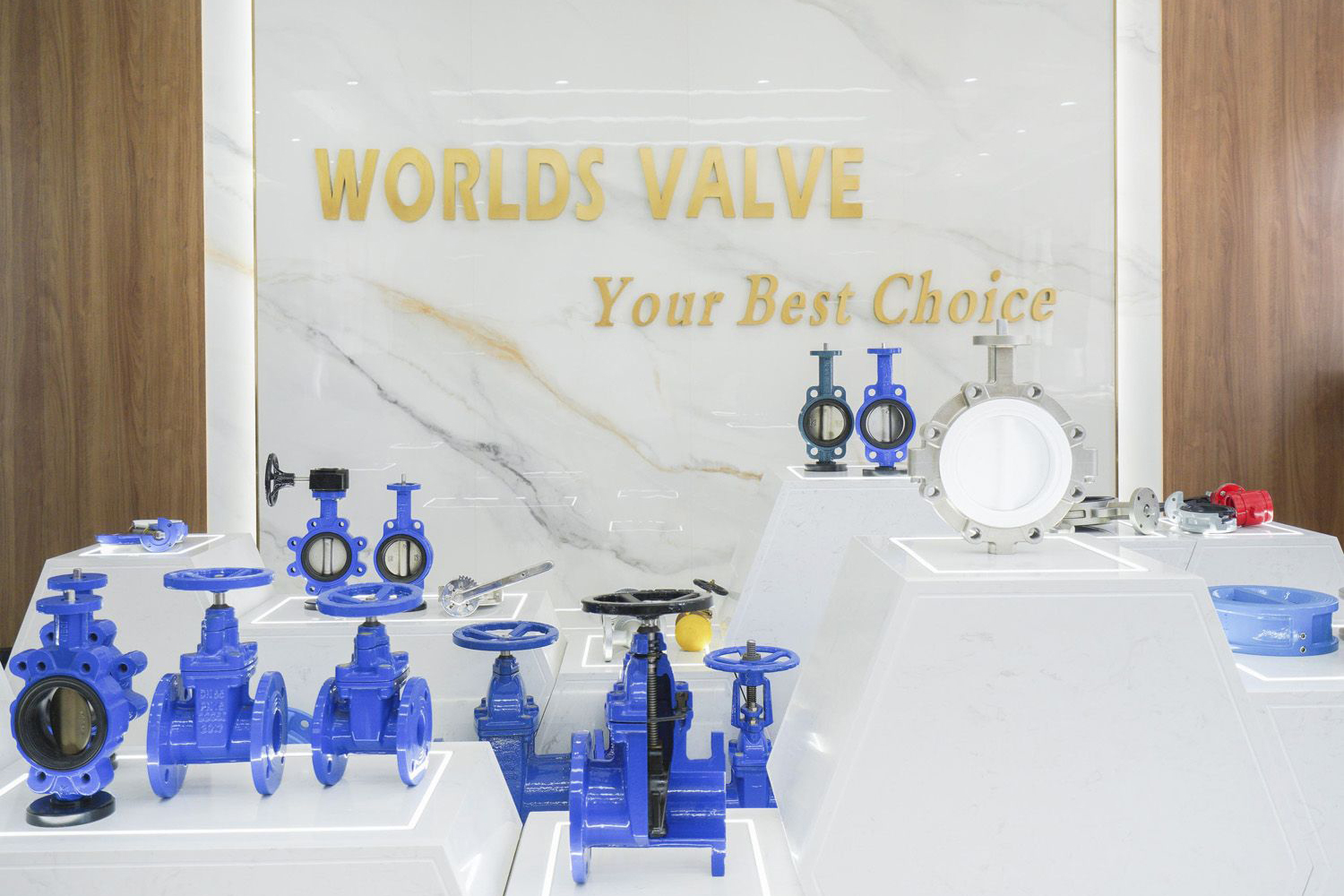Tianjin Worlds Valve Co Tianjin-Worlds-Valve-Co-LTD-(8)