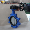 Lug Butterfly Valve Supier - صمام الفراشة مع مقعد مطاطي مرن وصندوق تروس