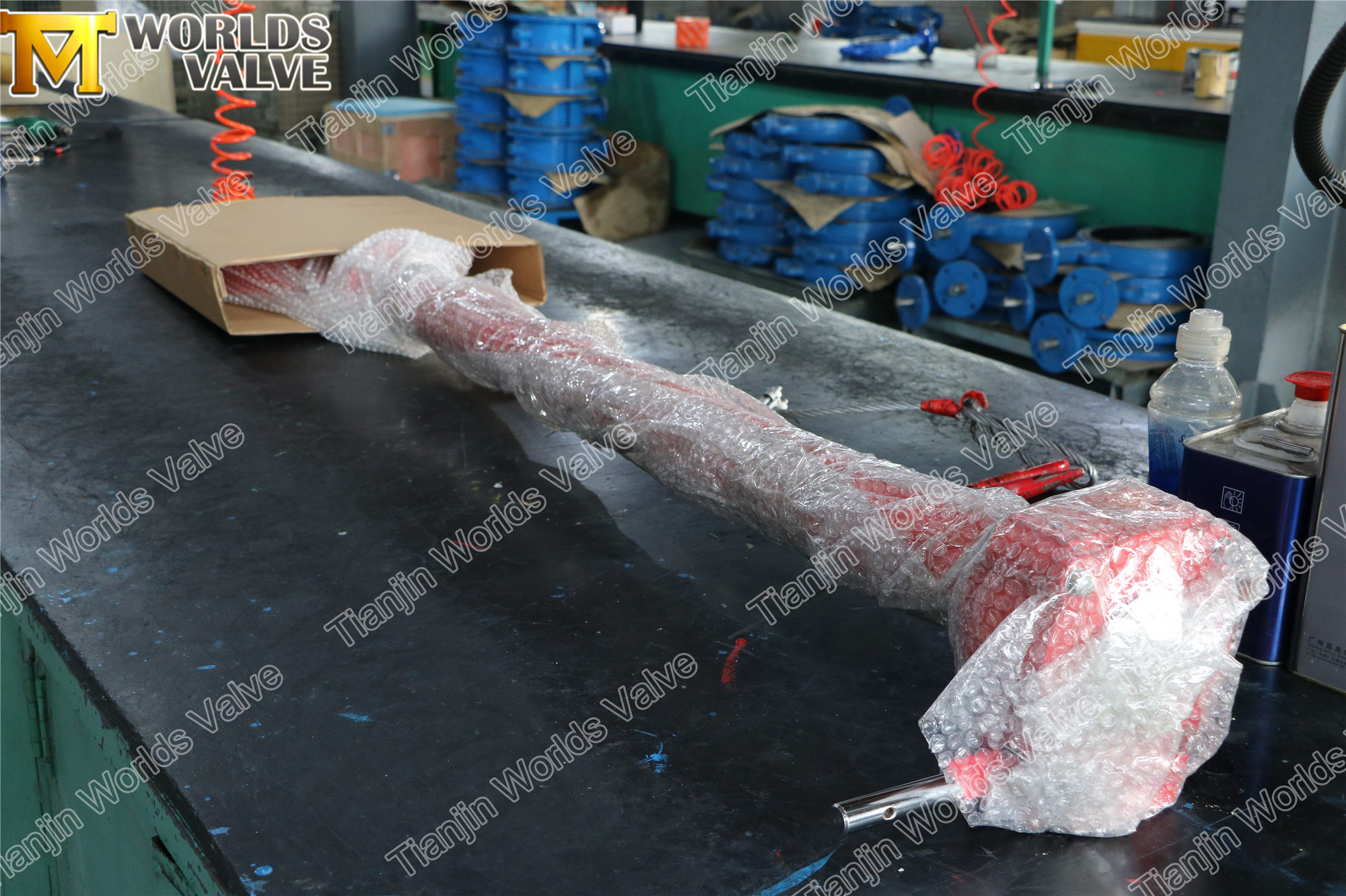 صمام الفراشة المبطن PTFE مع ساق التمديد (2)