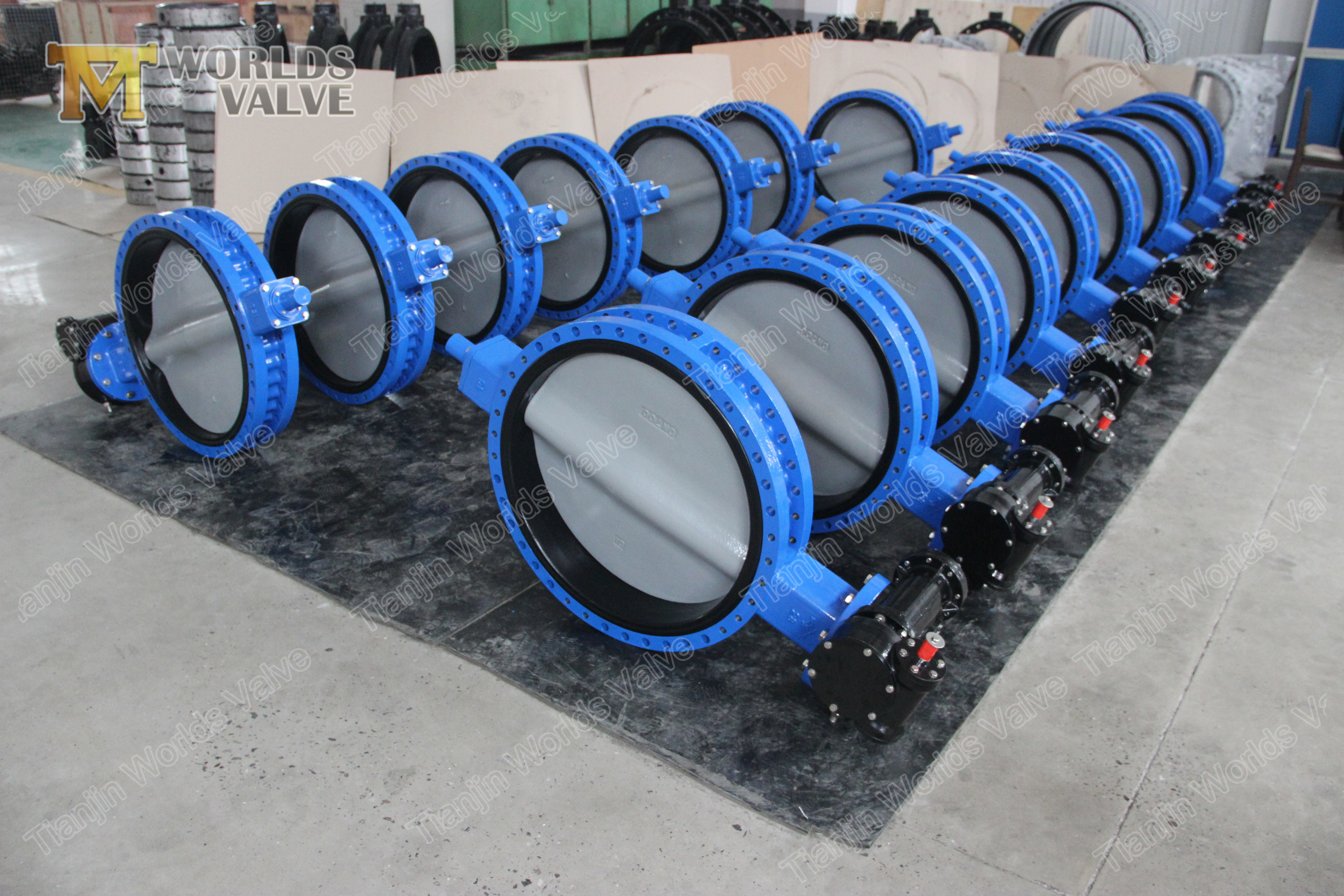 4 U Type Double Flange Butterfly Valve Carrige API609 Class 150 PN10 PN16