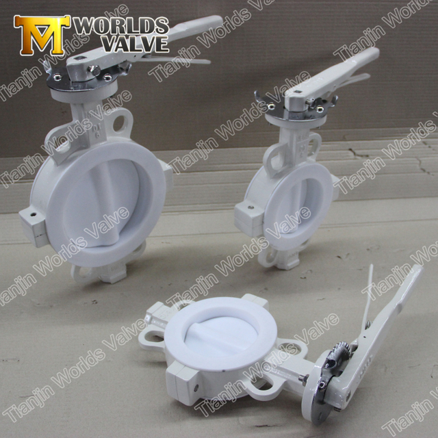 رقاقة الفراشة تبطين PTFE بشفة