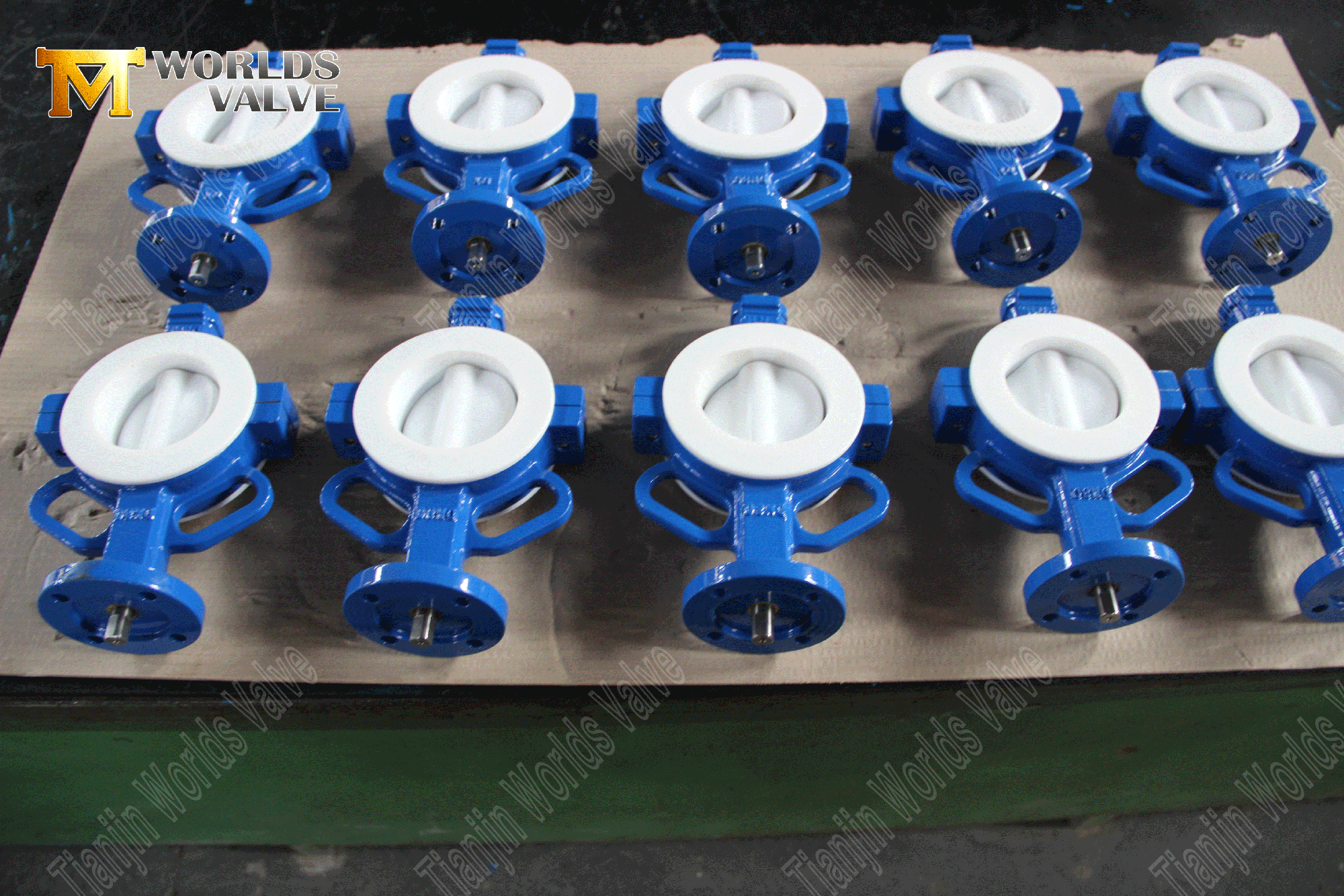 PTFE-تصطف على الأرض-صمام الشرير-(5)