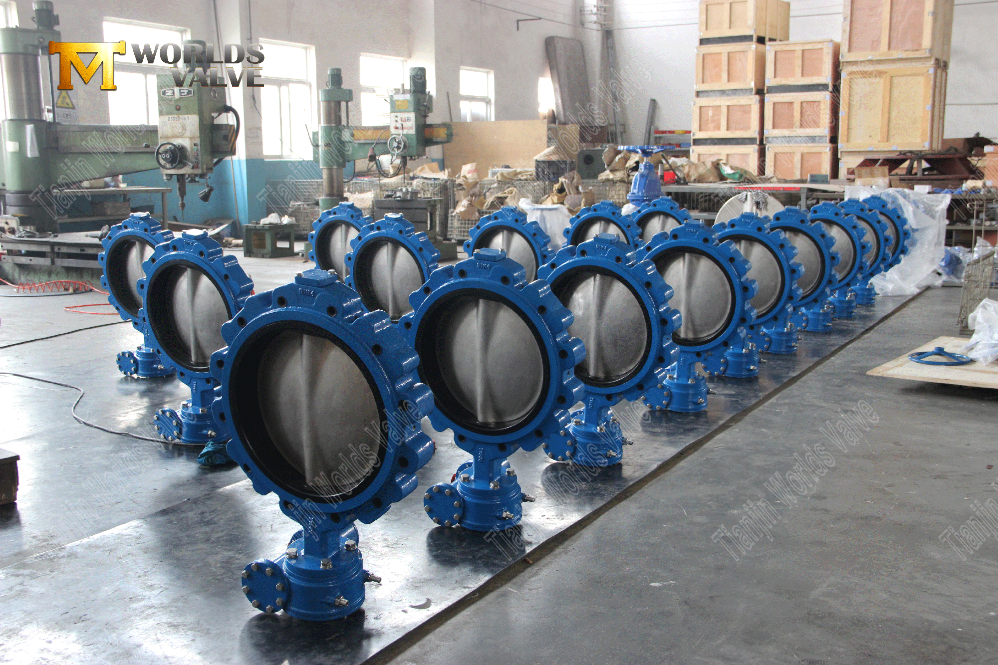 EPDM SEAT DI LUG Butterfly Valve مع معدات الدودة