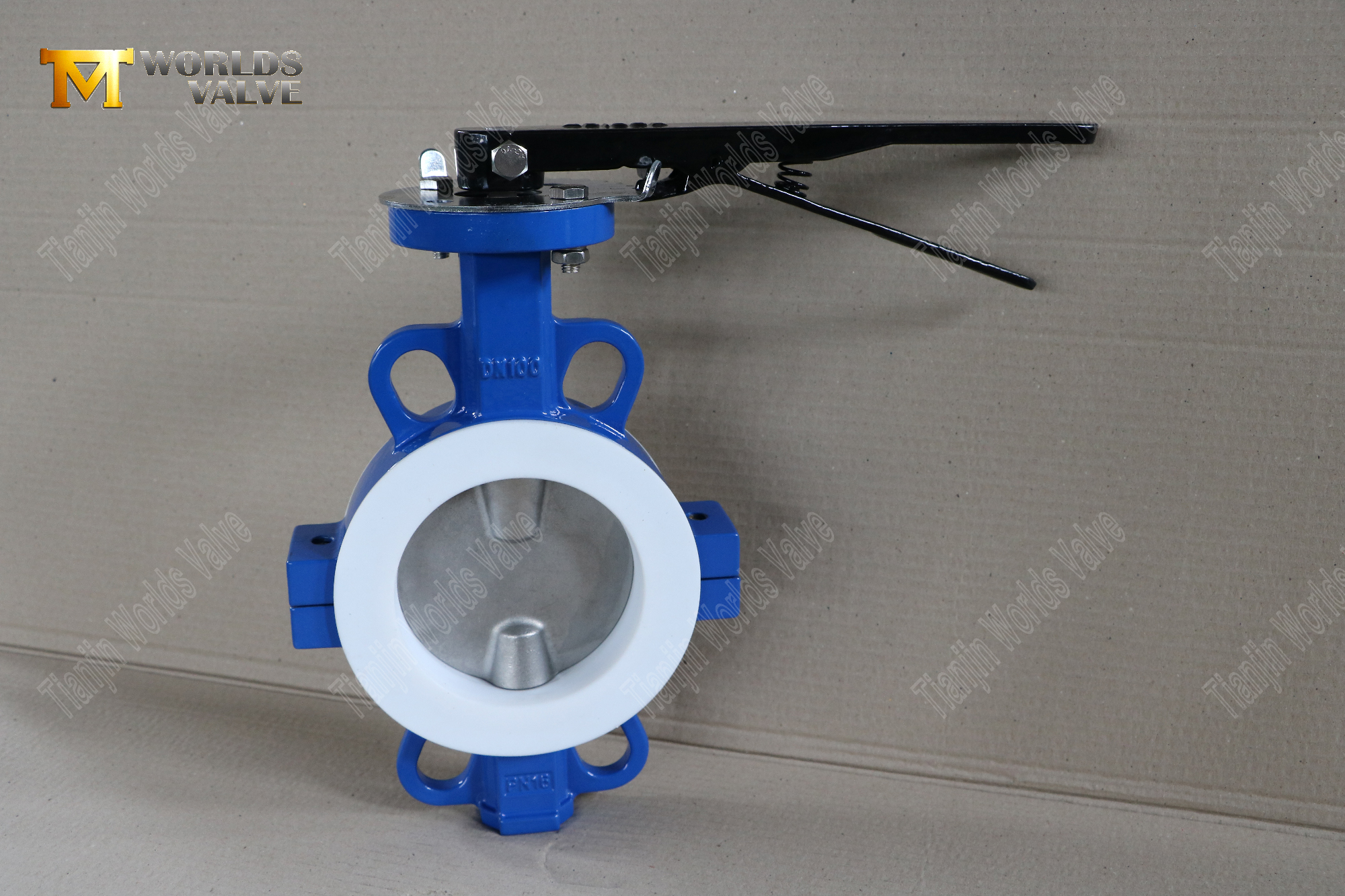 DN100-TEFLON-WAFER-SPLIT-BUTERTINGFLY-VALVES-السيطرة المقاومة للتورط-السيطرة (1)