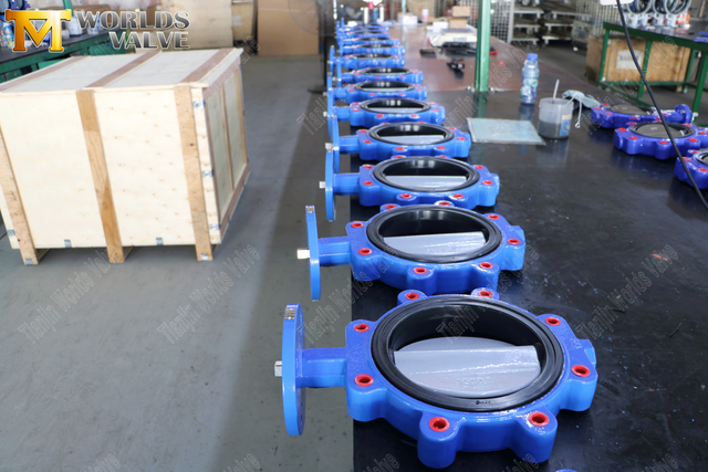 موردي صمام الفراشة متحدة المركز - صمام فراشة نوع العروة مع مقعد EPDM