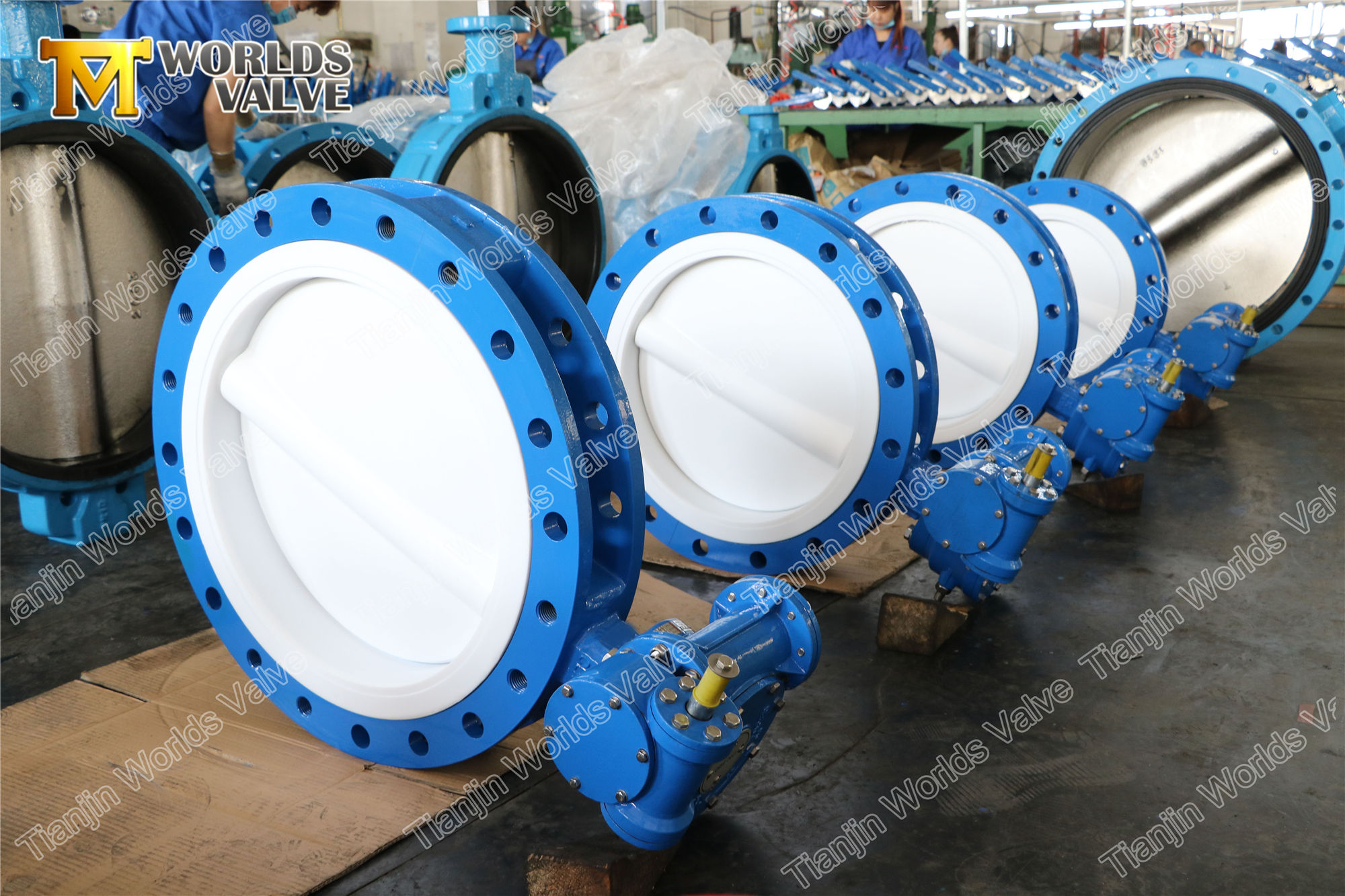 4 A536 A395 حديد الدكتايل PTFE فراشة صمام