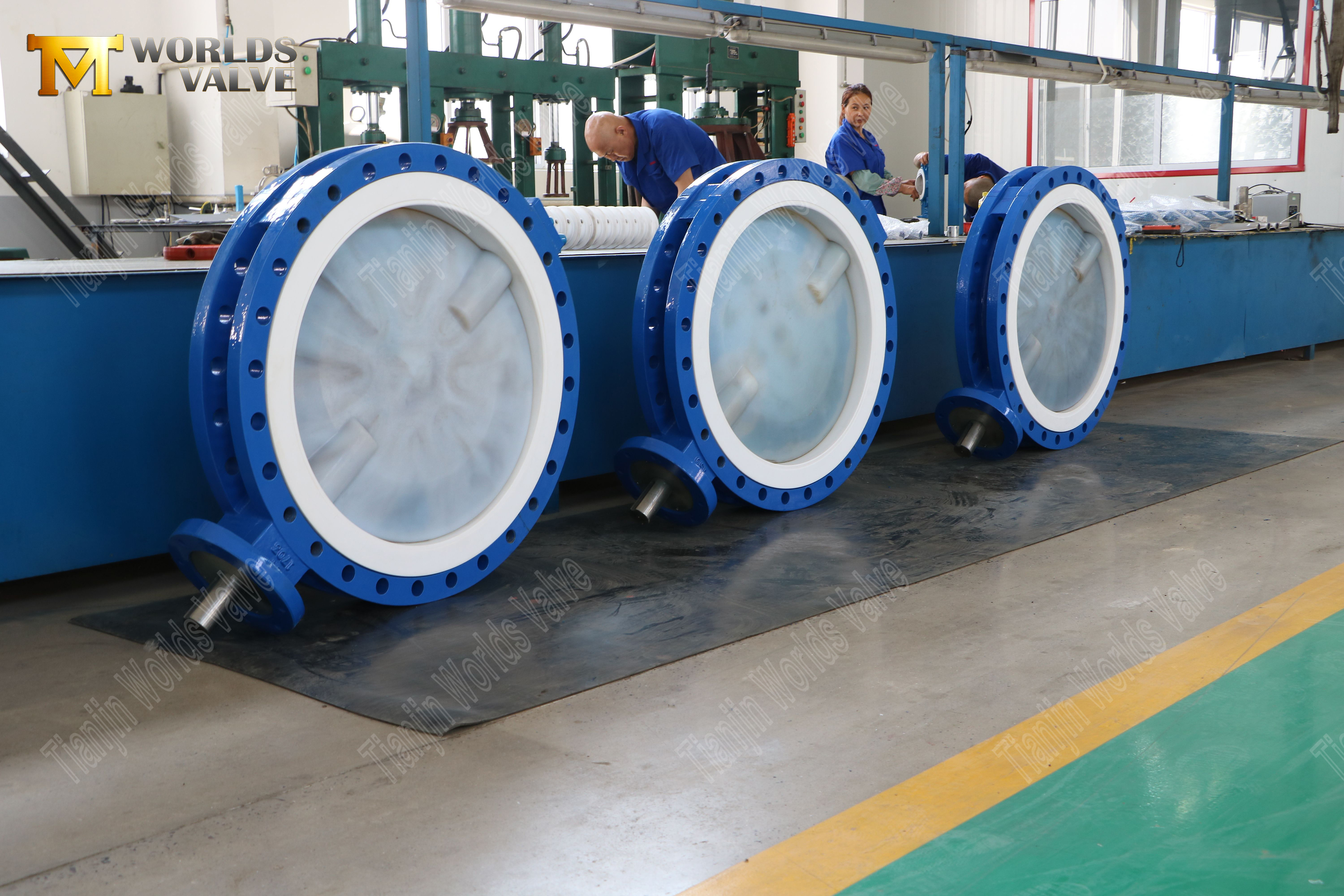 صمام الفراشة PFA للخدمات الكيميائية سعة 150 رطل، مقعد PTFE، يعمل بالعتاد (7)