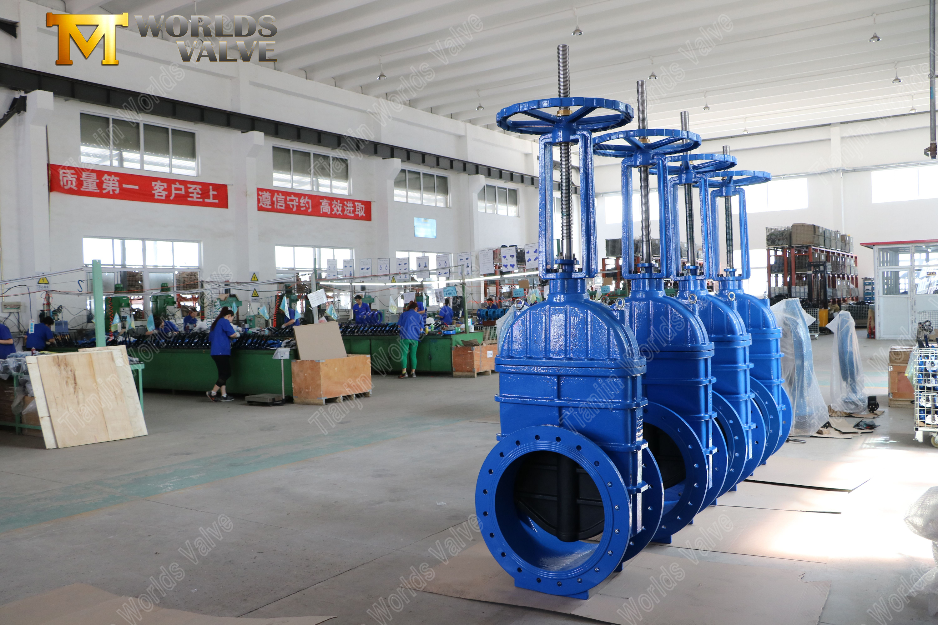 صمام بوابة جذعي مرتفع ذو حواف مع مقعد EPDM ومشغل علبة التروس (7)