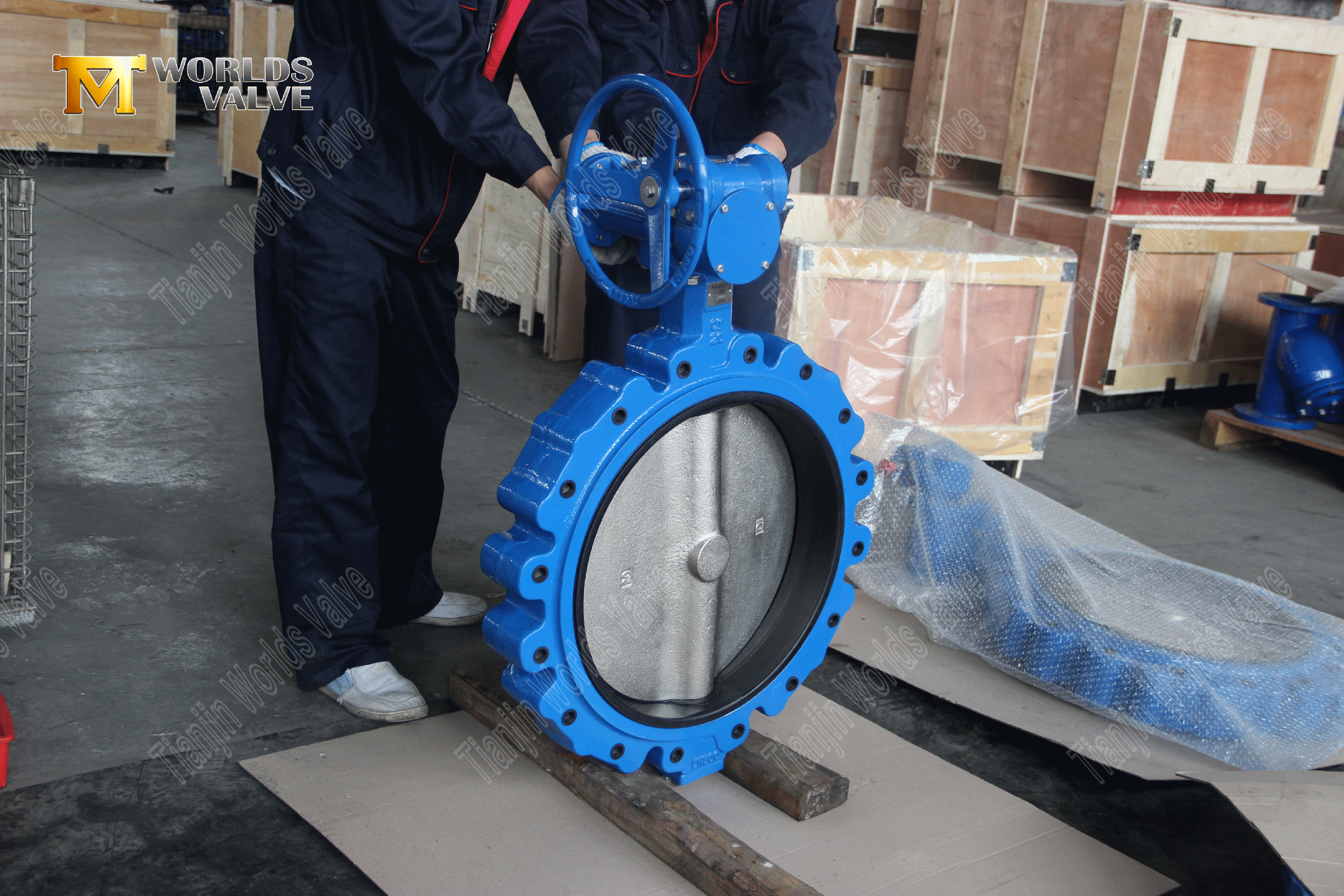 OEM ODM Valve Manufaction-Lug Style Resilient Resilient Butterfly Valves (2)