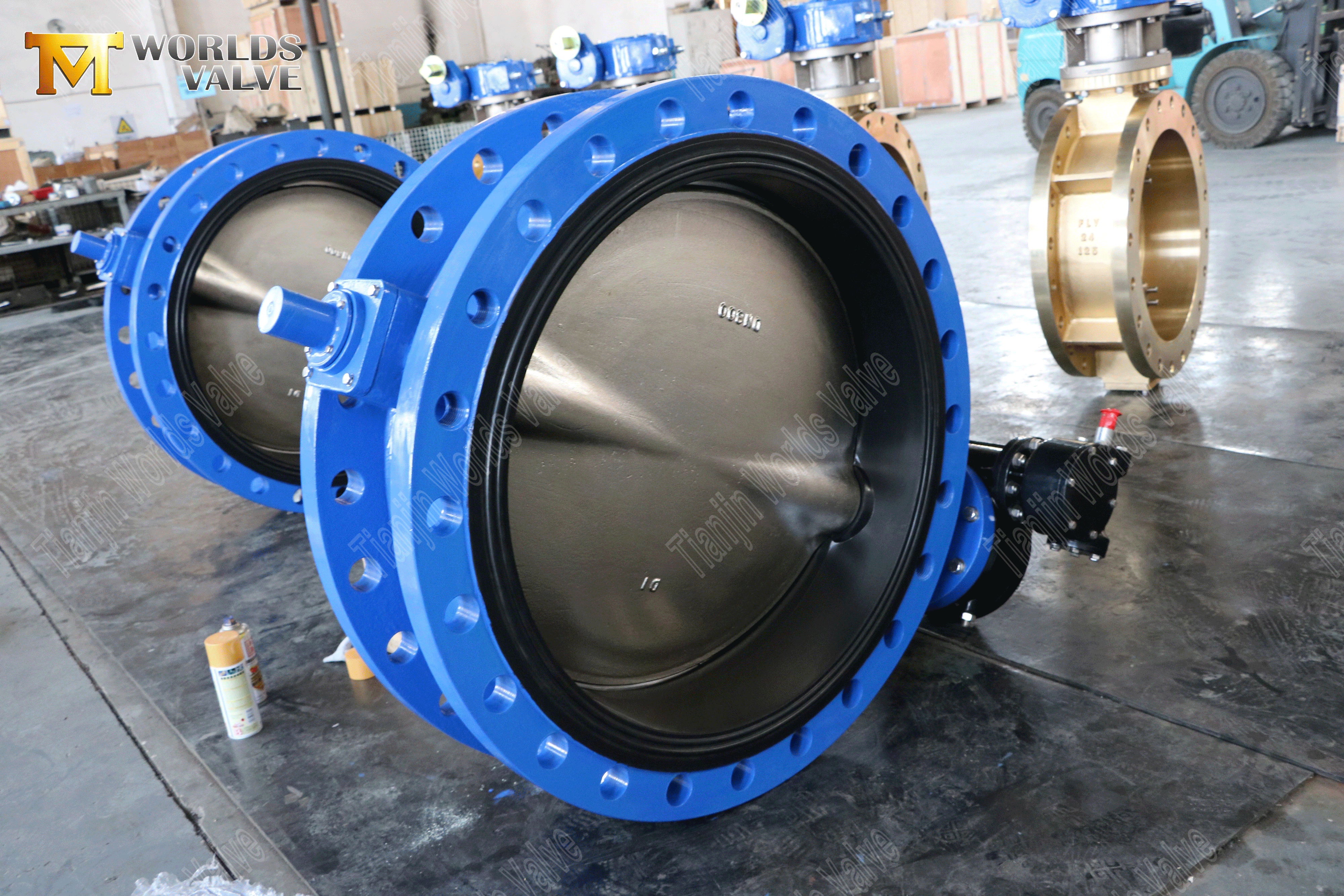 مصنعي صمام الفراشة - صمام فراشة مزدوج الحواف المرن (1)