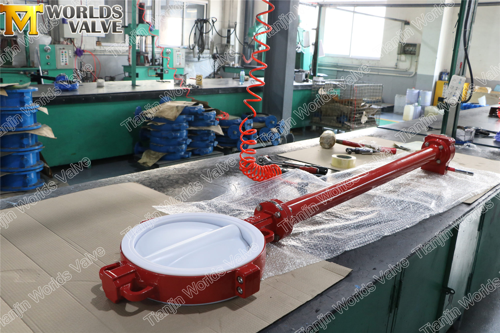 صمام الفراشة المبطن PTFE مع جذع التمديد (4)