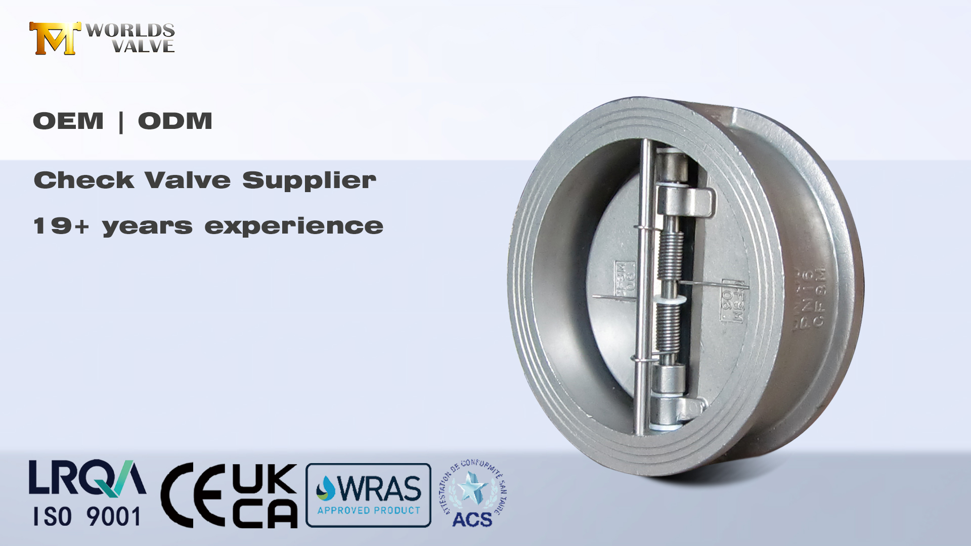 فحص الصمامات: منع التدفق العكسي الأساسي للأنظمة الصناعية | صمام العالم