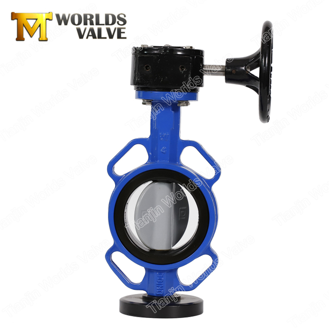 Rilsan Nylon 11 المطلي القرص الحديد الزهر الفراش فراشة صمام