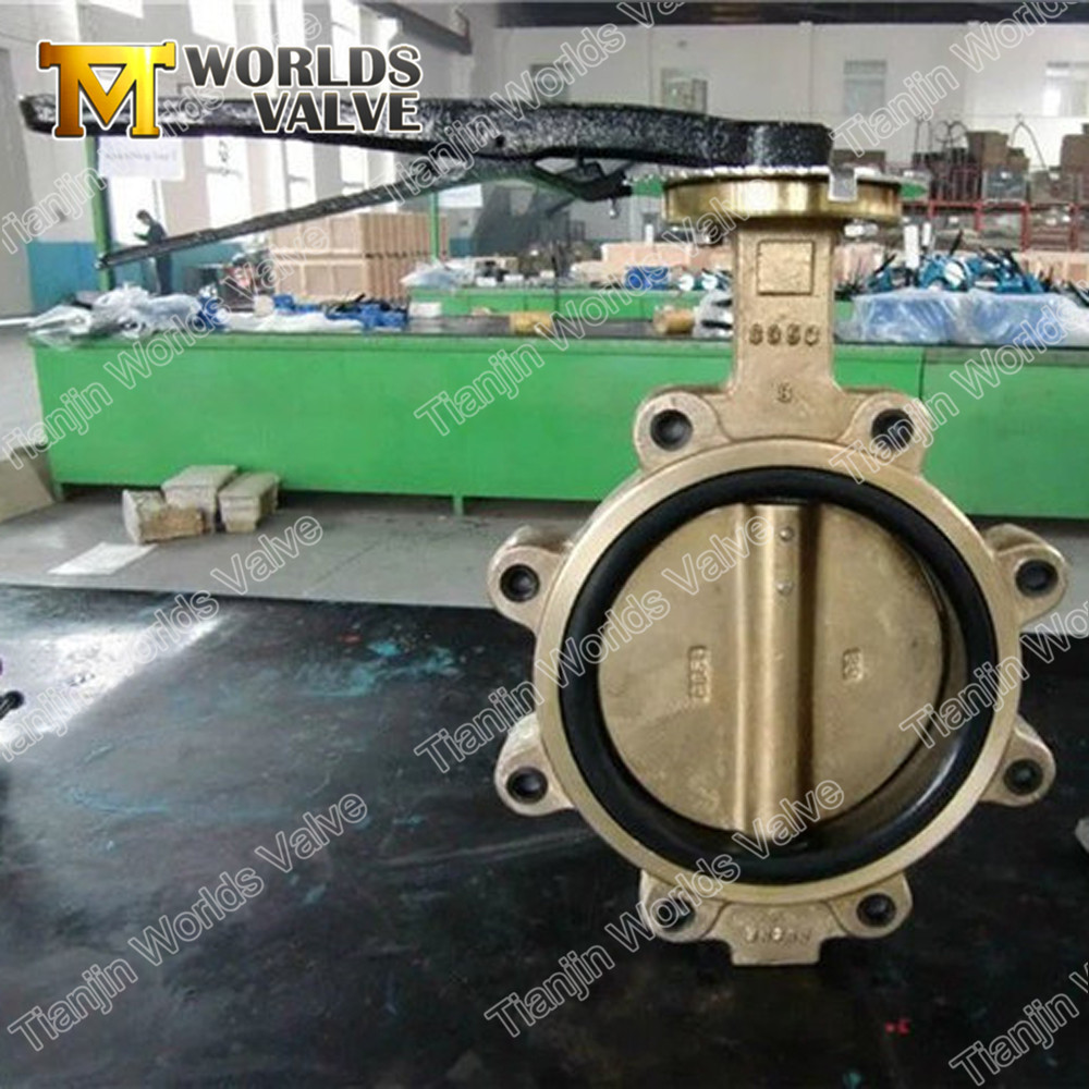 البرونزي-C95400-Lug-Type-Tyre-Valve-Valve-With-Monkel-Stem-D37L1X-10-16-_ 副 本