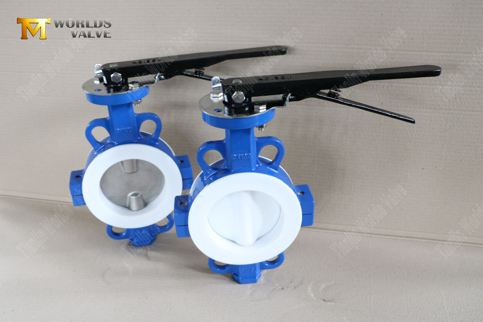 DN100-TEFLON-SPLIT-SPLIT-BUSTERFLY-VALVES-السيطرة المقاومة للتدفق المقاوم للتورط (2)