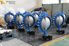 Lug Butterfly Valve Valve Valve Valve-Cancentric Valve with Worm Gear Operator