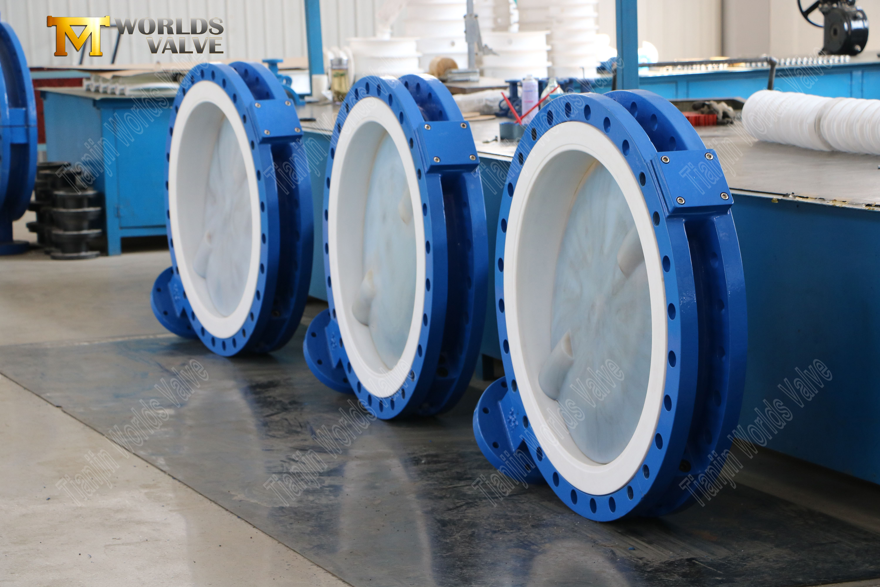 صمام الفراشة PFA للخدمات الكيميائية سعة 150 رطل، مقعد PTFE، يعمل بالعتاد (6)