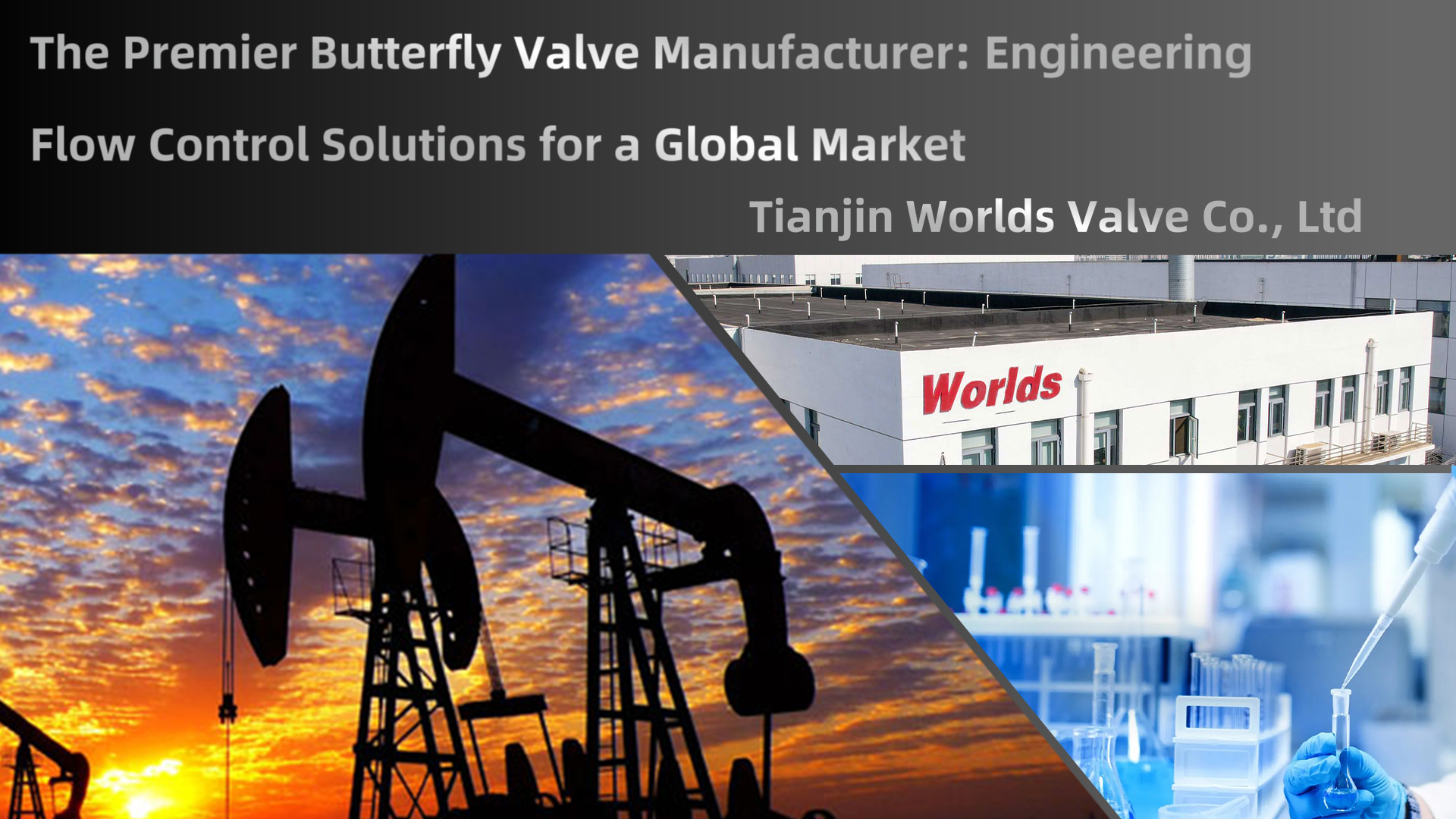 الشركة المصنعة لصمام الفراشة المتميز: حلول التحكم في التدفق الهندسي للسوق العالمية | شركة تيانجين وورلدز فالف المحدودة