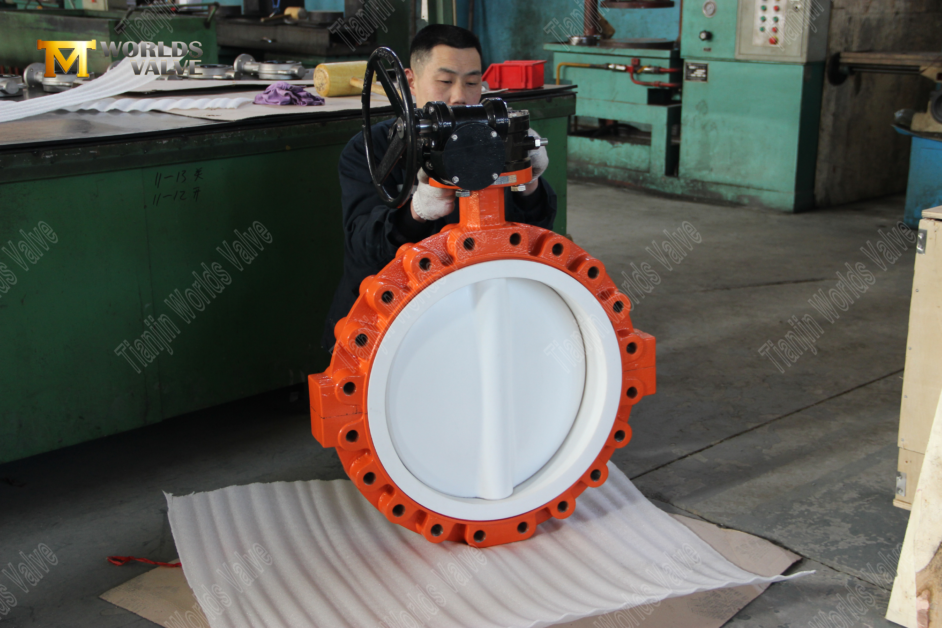 Lug Type Ptfe Seat & Disc Butterfly Valves with Worm Gear-3 (1)