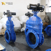 صمام بوابة جذعي غير مرتفع DN600 بجسم من حديد الدكتايل ومقعد EPDM | المحرك الكهربائي