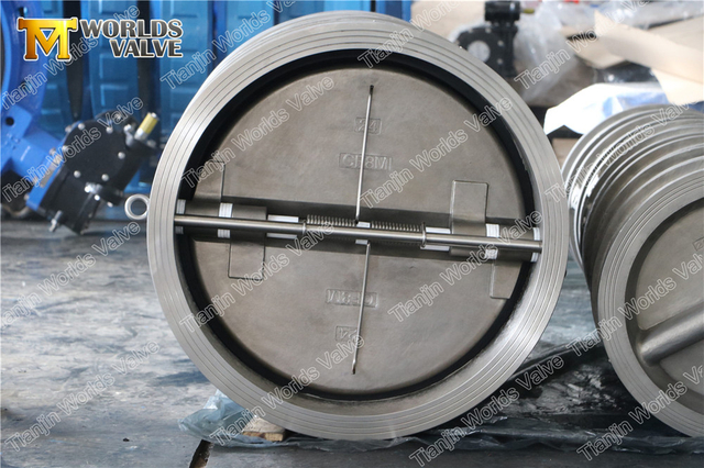 SS304 SS316 CF8 CF8M فحص الصمامات مع ختم مطاطي EPDM