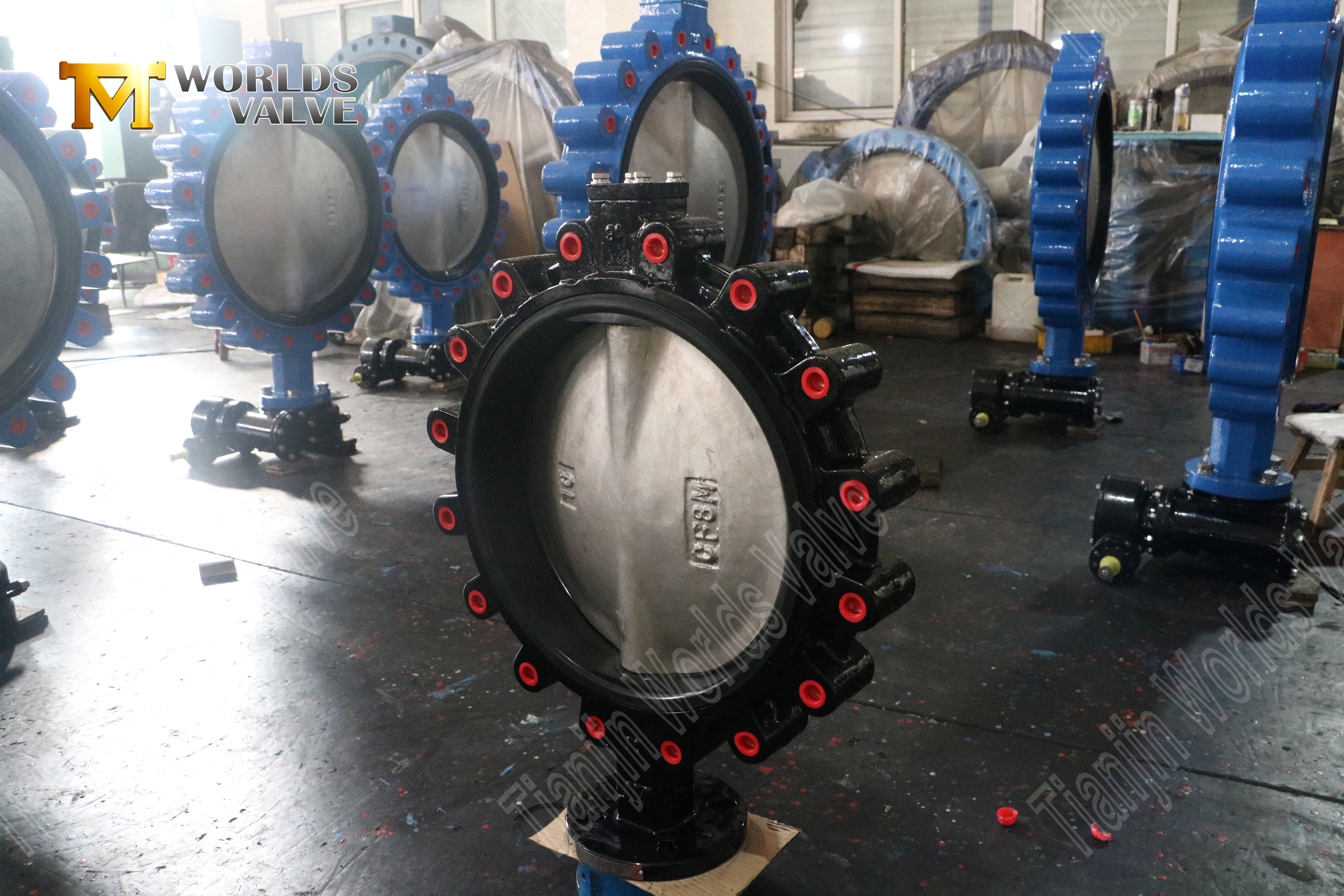 صمام الفراشة مقعد EPDM مع CF8M DISC-LUG TYPE BUTTFLY VALVE MANINGRING-1 (2)