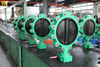 Lug Butterfly Valve Valve Valve Valve-Cancentric Valve with Worm Gear Operator