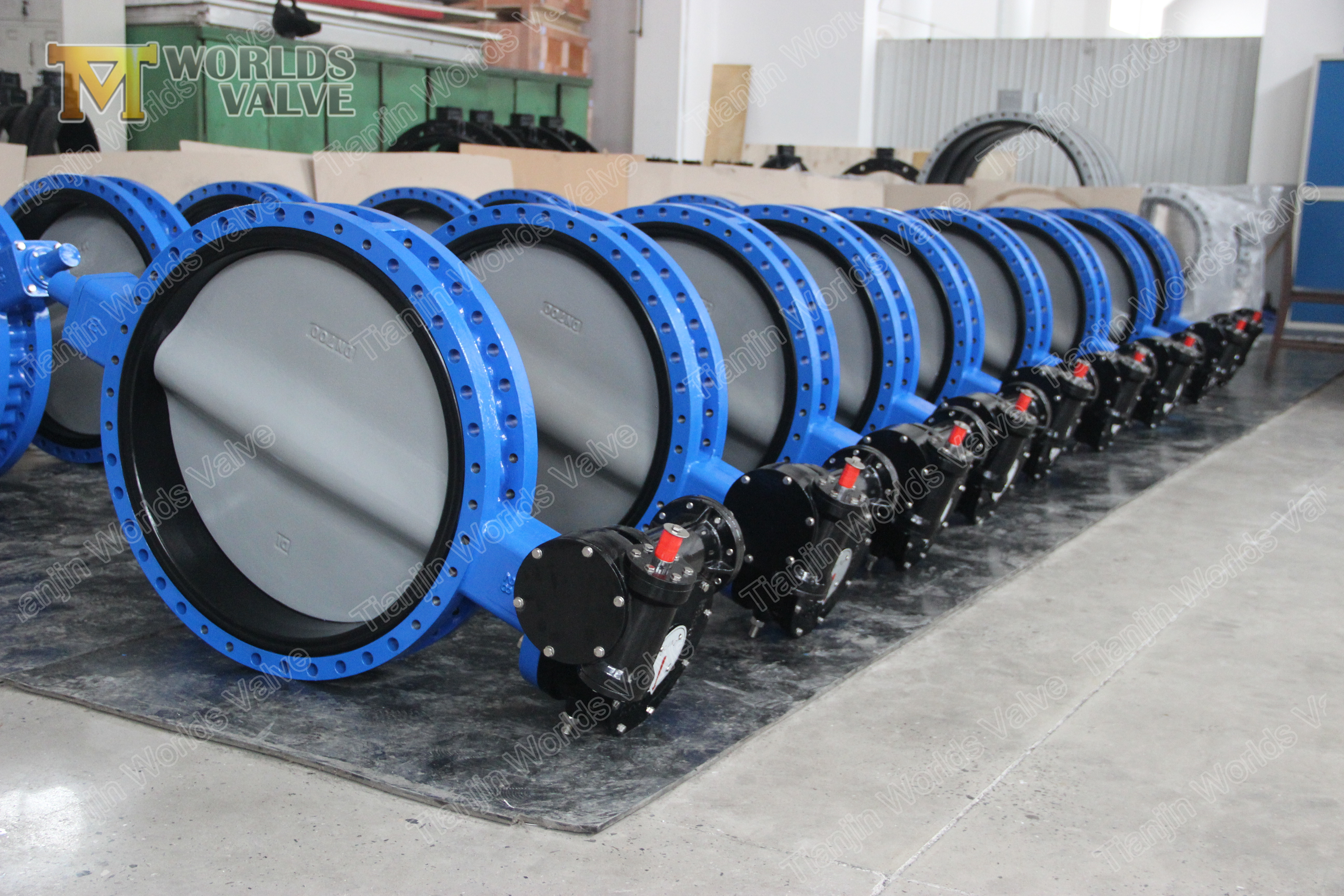 5 Double Flange Butterfly Valve Carrige API609 Class 150 PN10 PN16