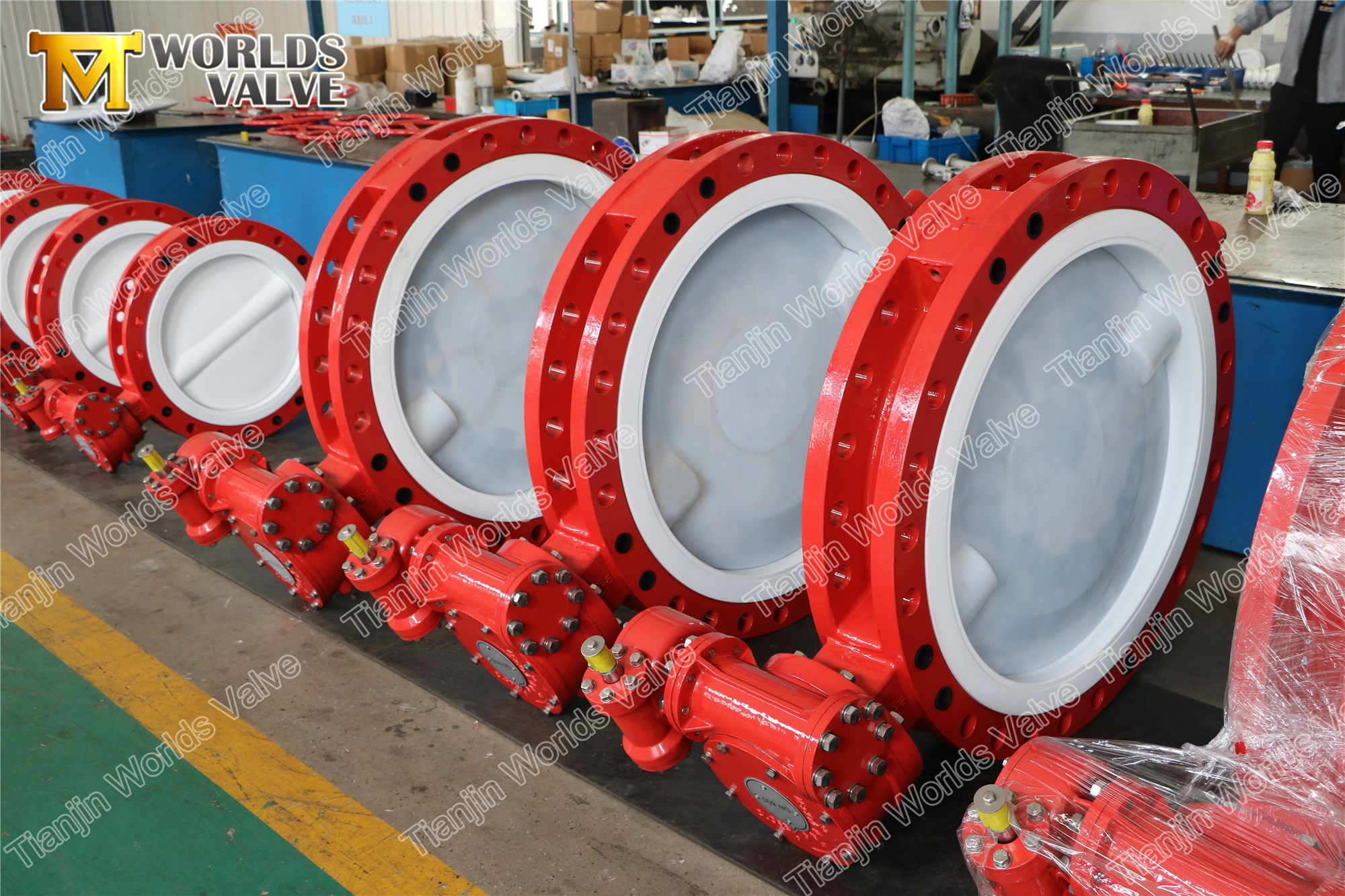 2 PFA المغلفة مزدوجة شفة فراشة صمام