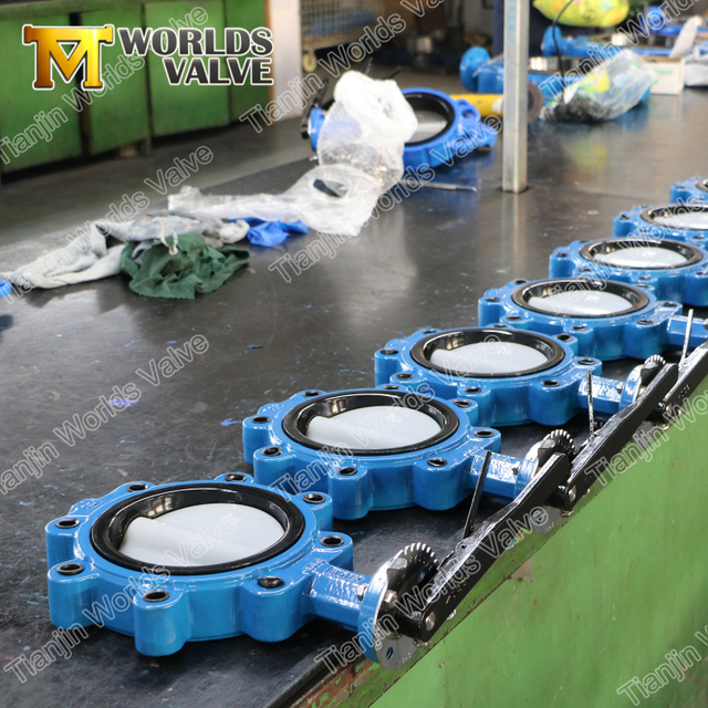 النايلون مغلفة القرص زاحف وتصوير فراشة صمام PN10 PN16 CL125 CL150 JIS10K JIS5K