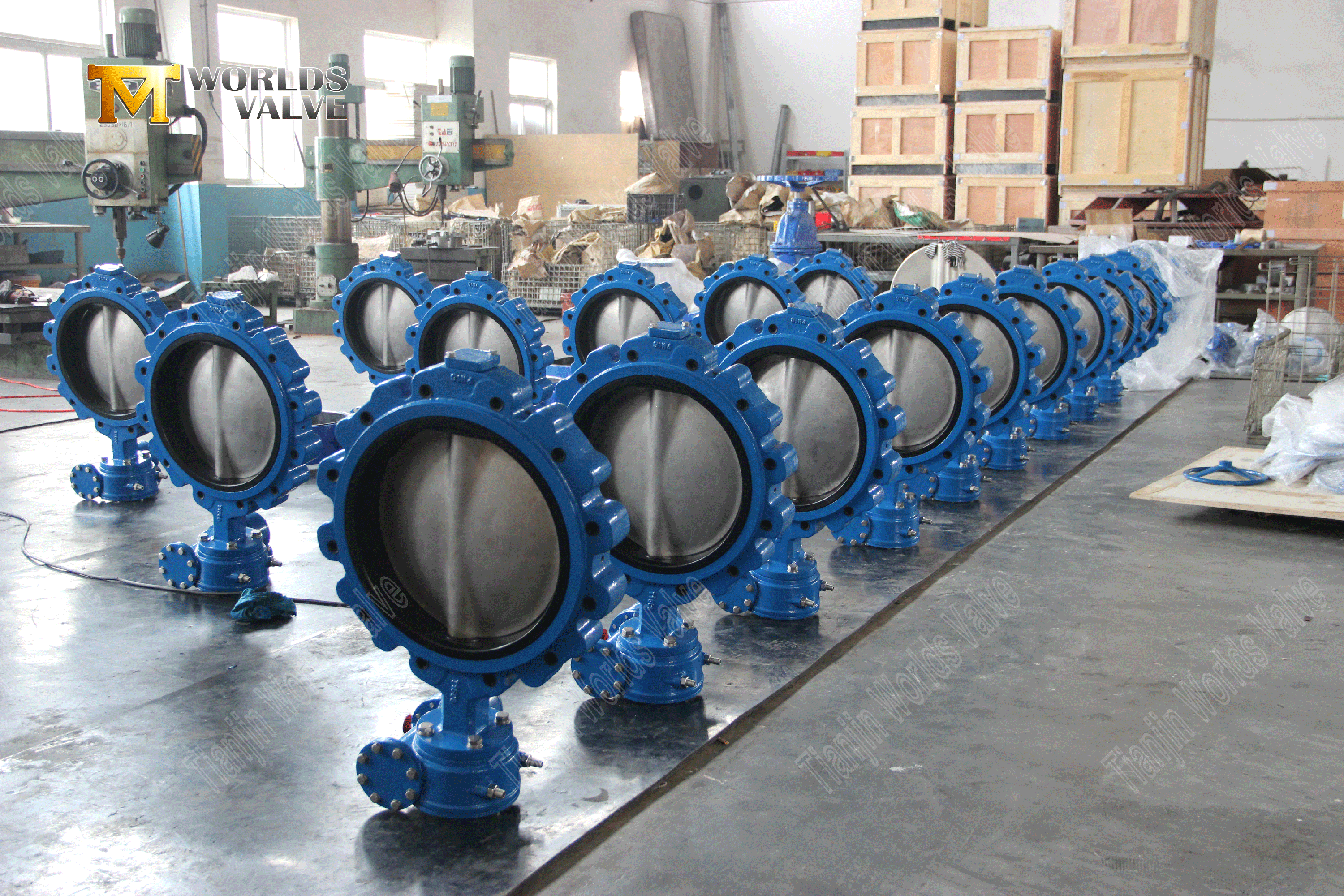 OEM ODM Valve Manufaction-Lug Style Resilient Resilient Butterfly Valves (4)