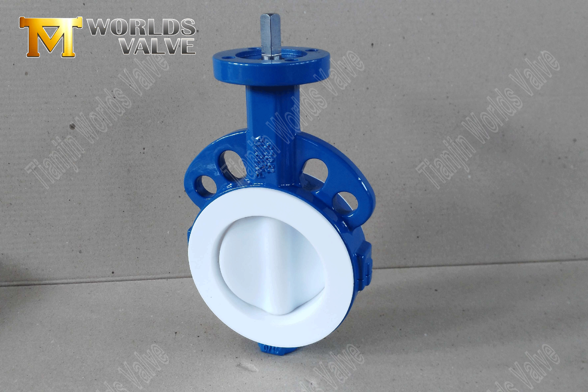 ptfe-butterfly-valve2