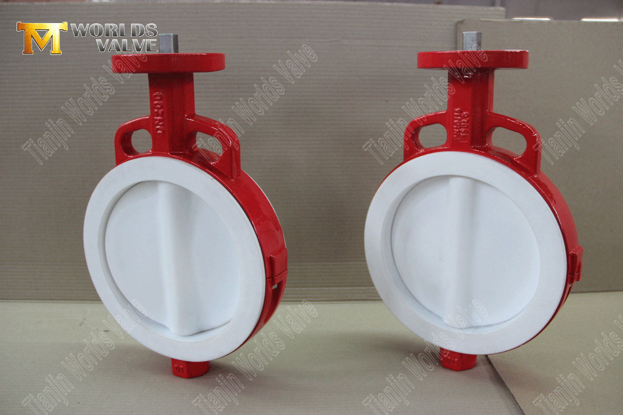 PTFE-صمام مزدوج الشرير-صمام (4)