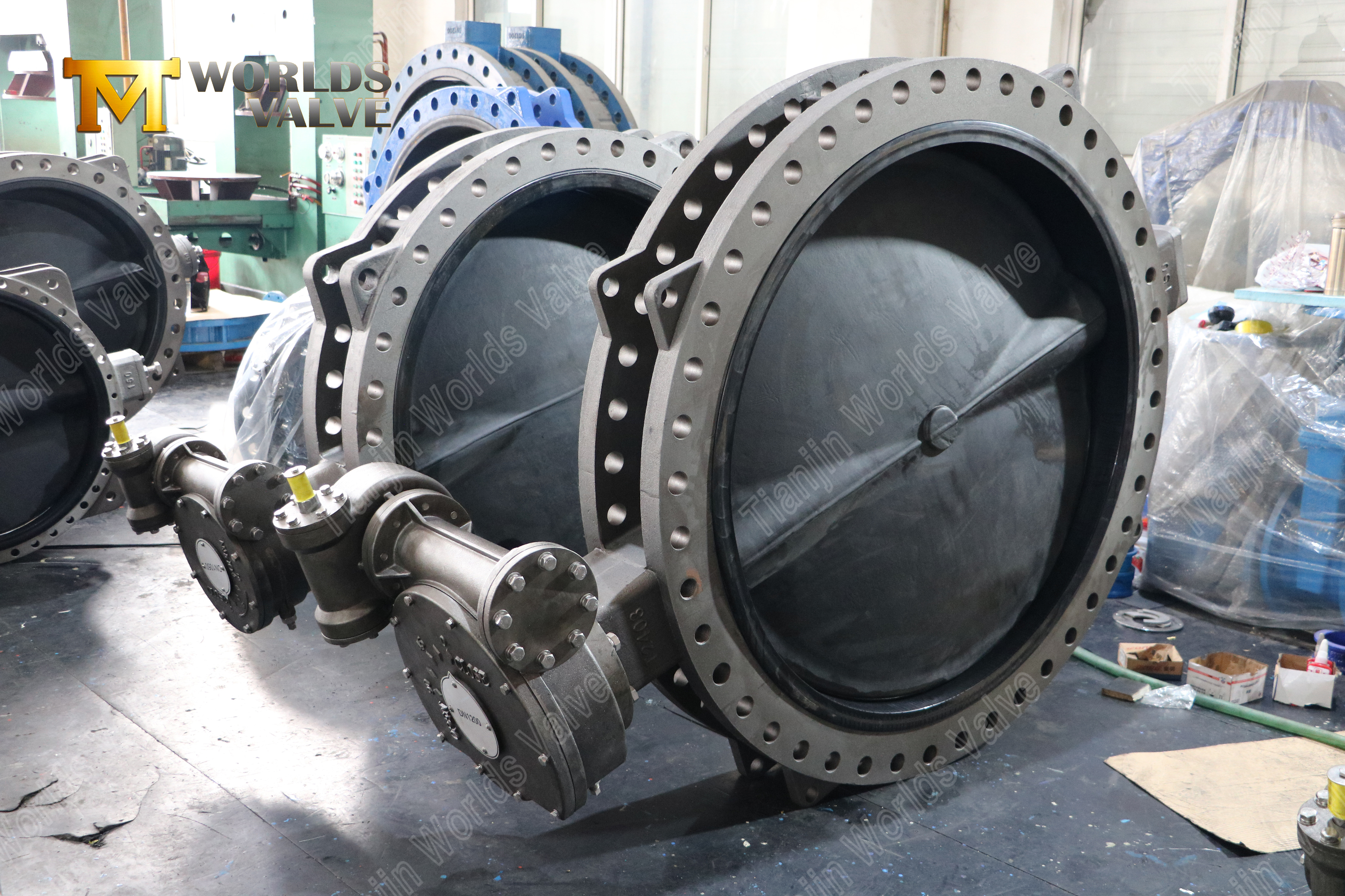 ما هو صمام فحص نوع العروة؟