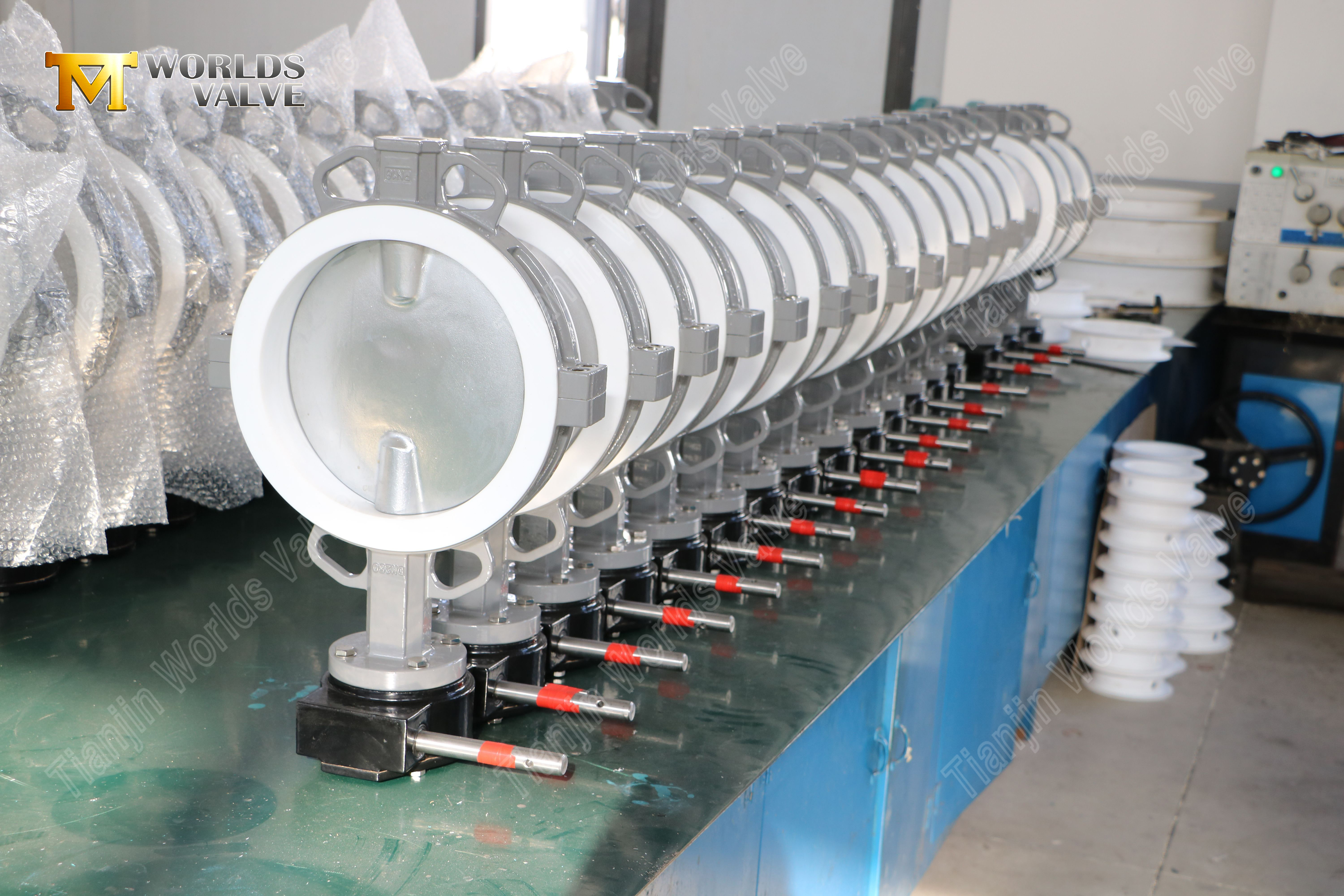 مقسمة-جسم-جسم-بوت-بتيف فليف فايف-فولت-فني-5