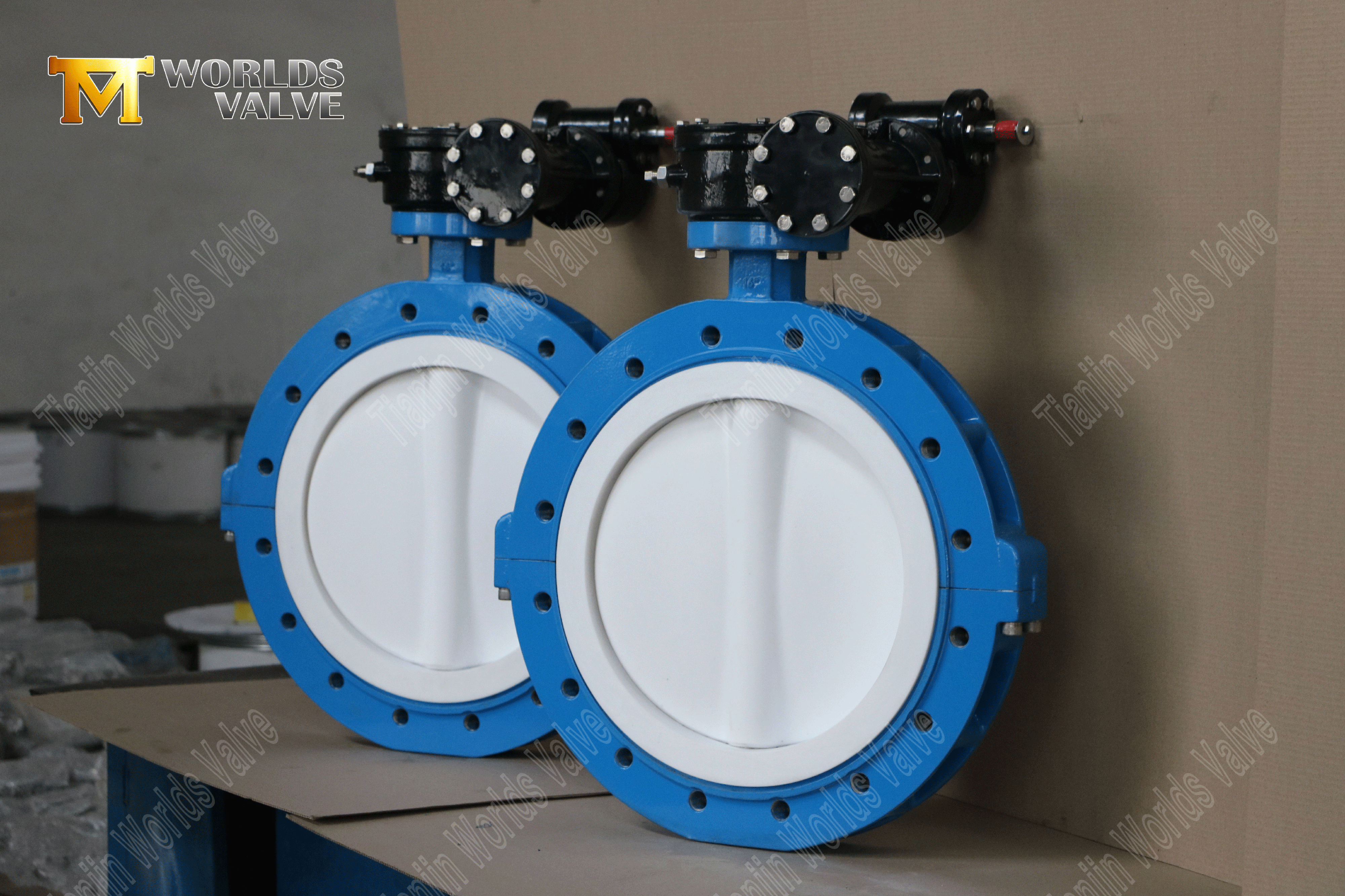 صمامات الفراشة والقرص PTFE من نوع العروة مع ترس دودي 3 (1)
