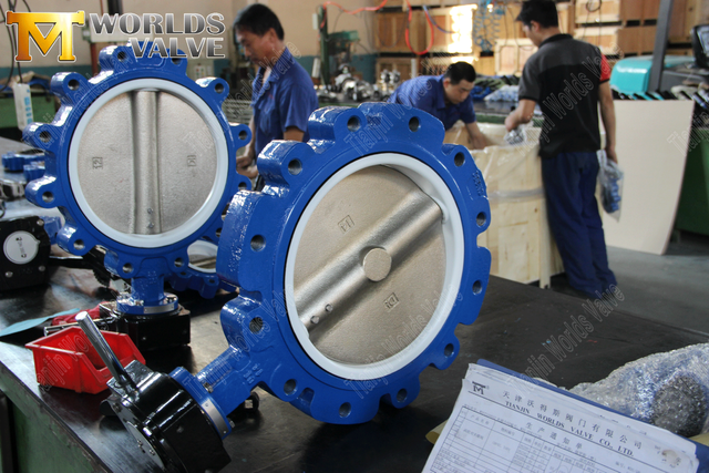 صمام صمام صمام الفراشة متحدة المركز