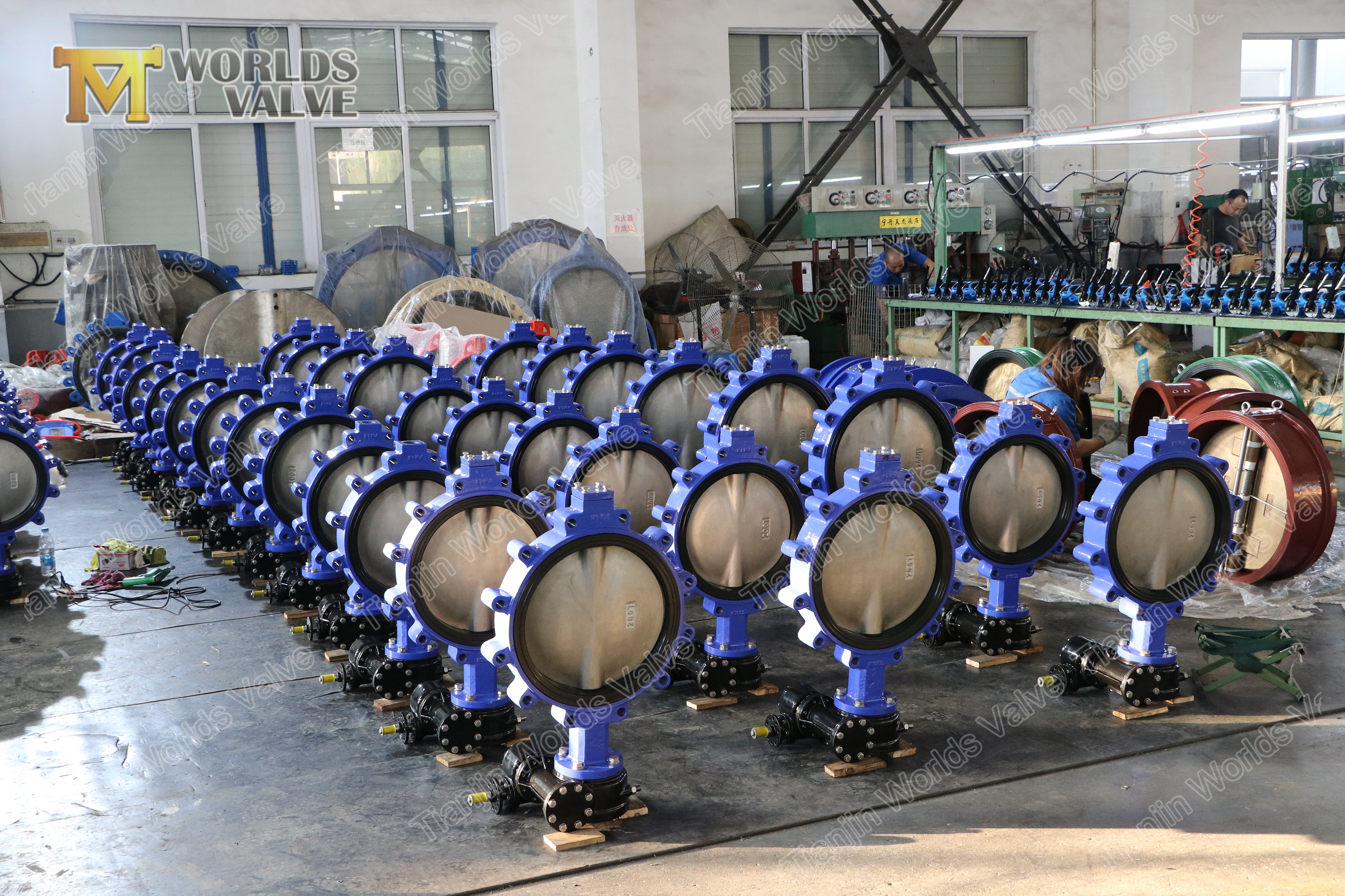 4 A536 A395 حديد الدكتايل صمام فراشة