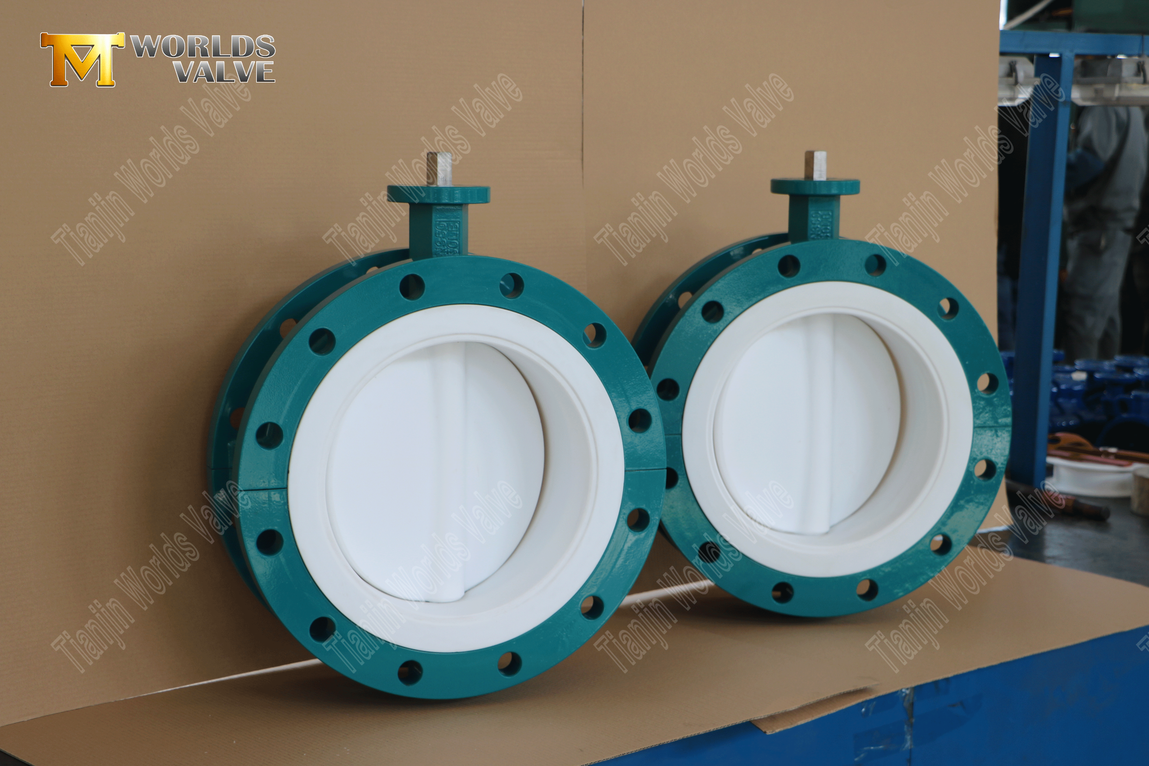 ترس الدودة مزدوج الحواف ptfe صمامات فراشة (2)