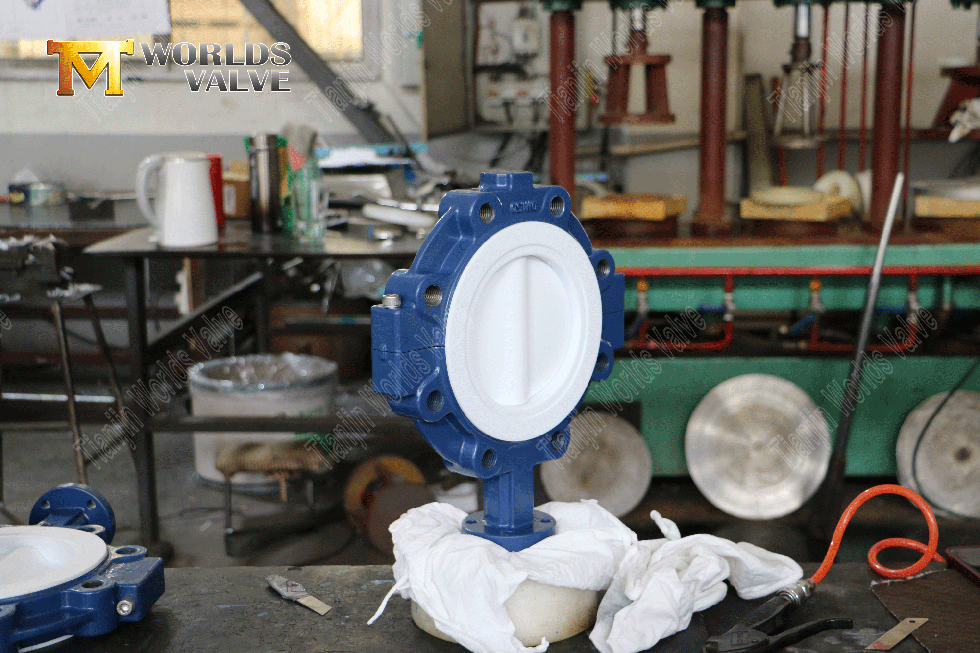 Lug Butterfly Valve