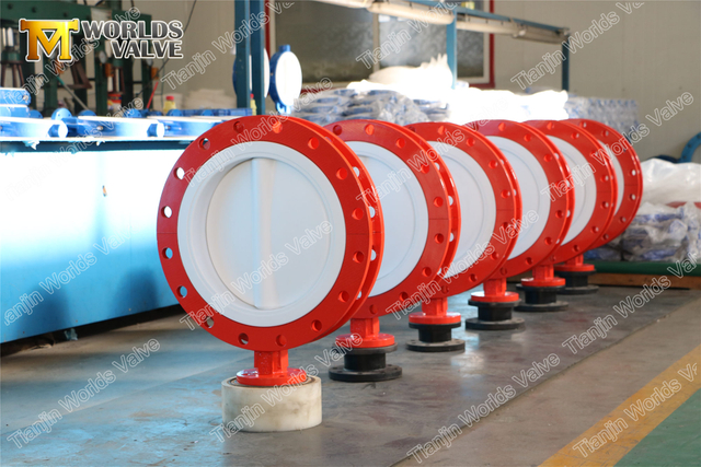 اثنان PCS تصميم الجسم PTFE Liner Butterfly Valves PN10 PN16 CLASS150