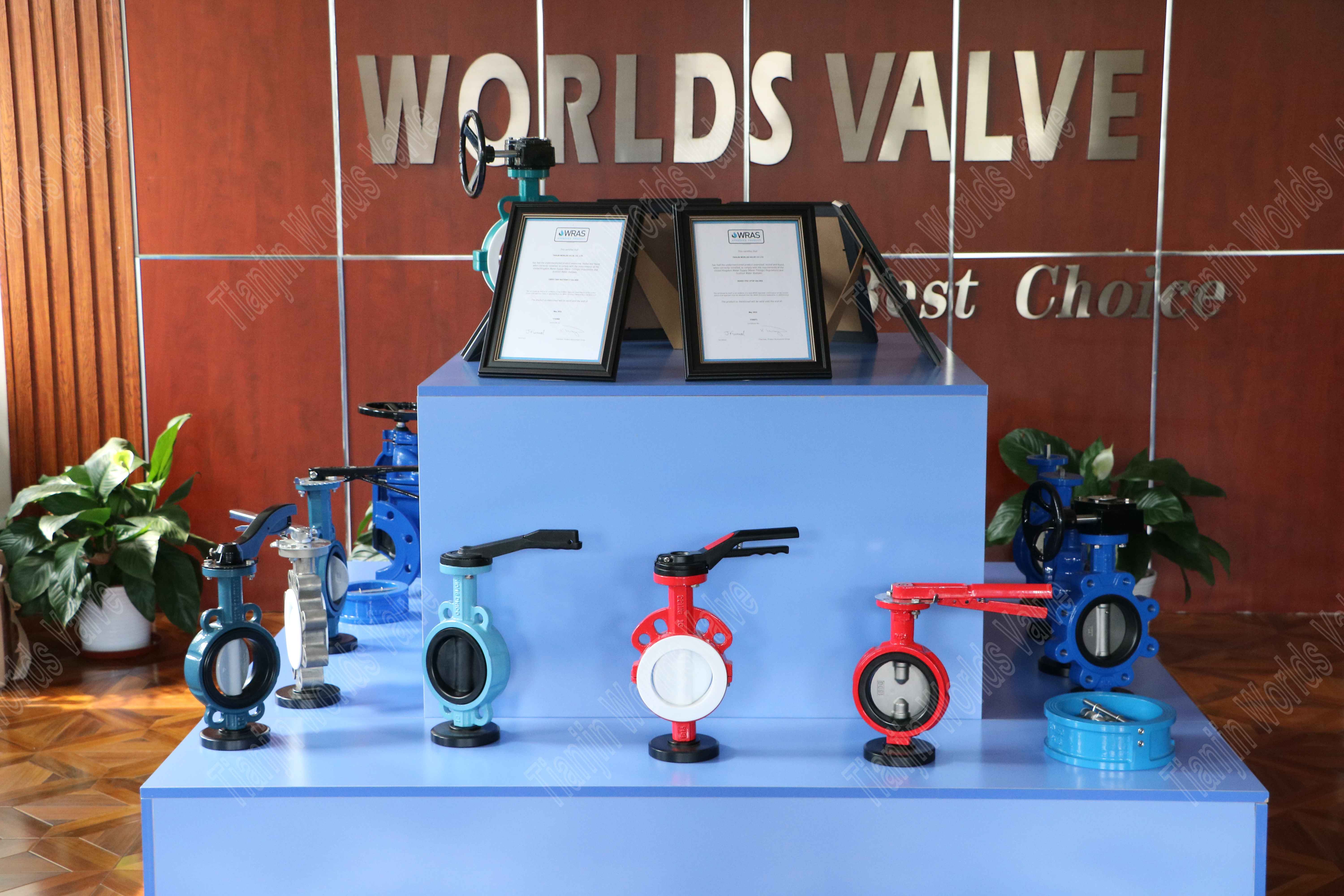 Tianjin Worlds Valve Co. ، Ltd. (1)
