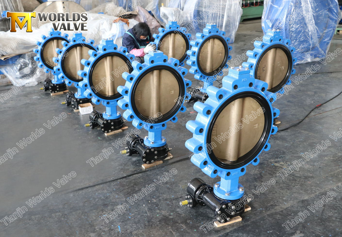 6 العروة نوع فراشة صمام مع صندوق التروس