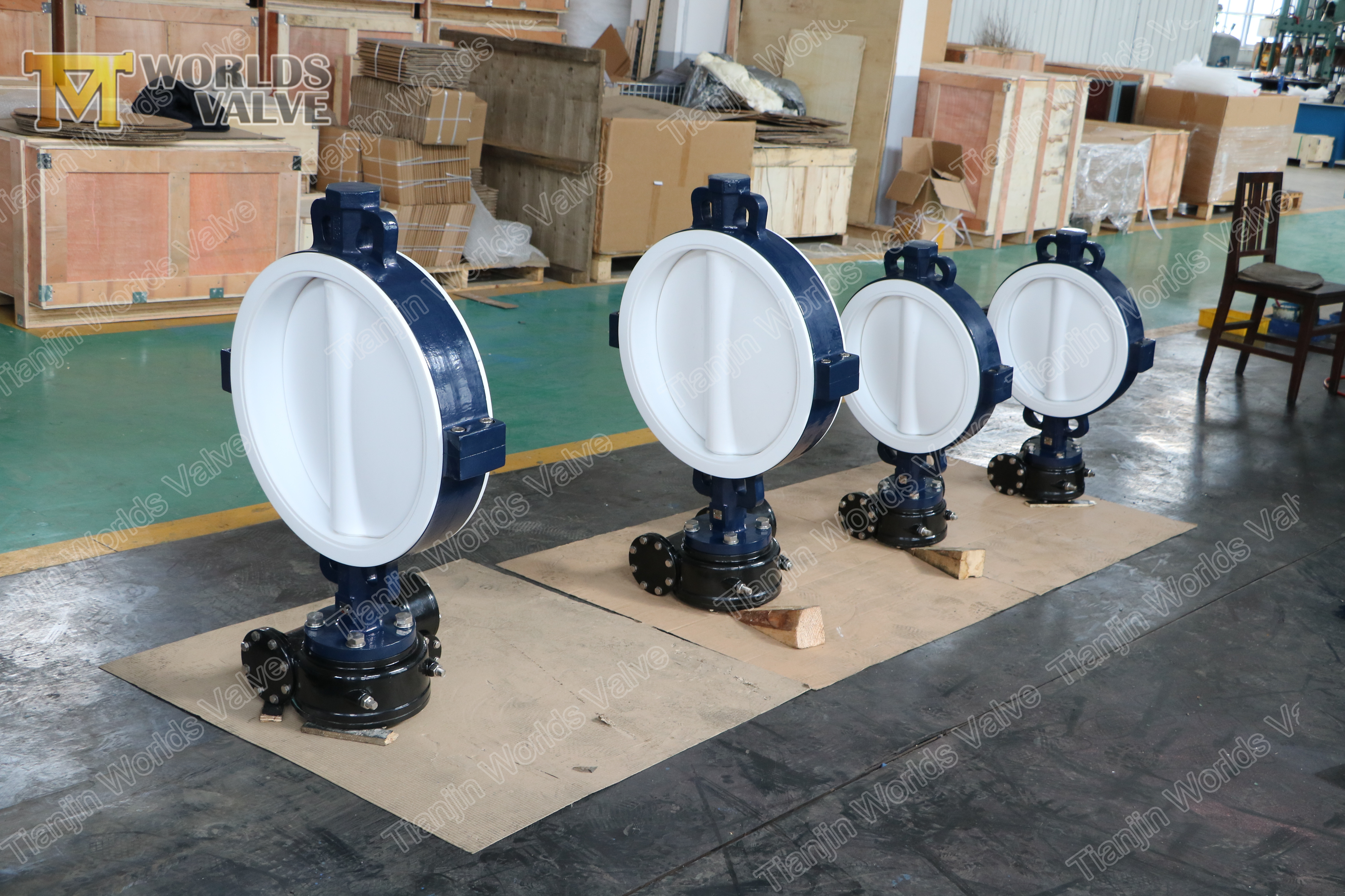 5 A536 A395 Ductile Iron PTFE Butterfly Valve