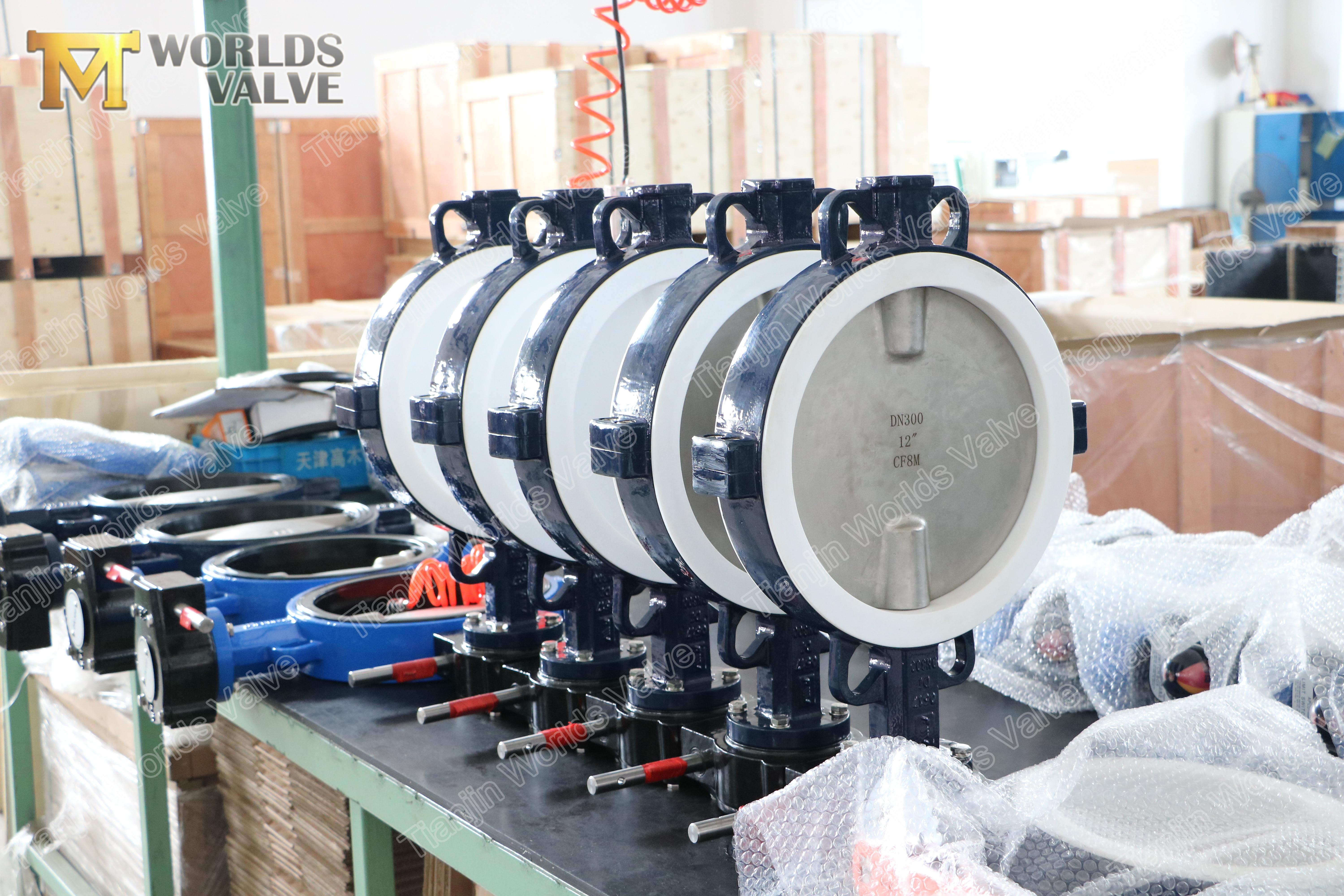 3 A536 A395 الدكتايل الحديد PTFE فراشة صمام
