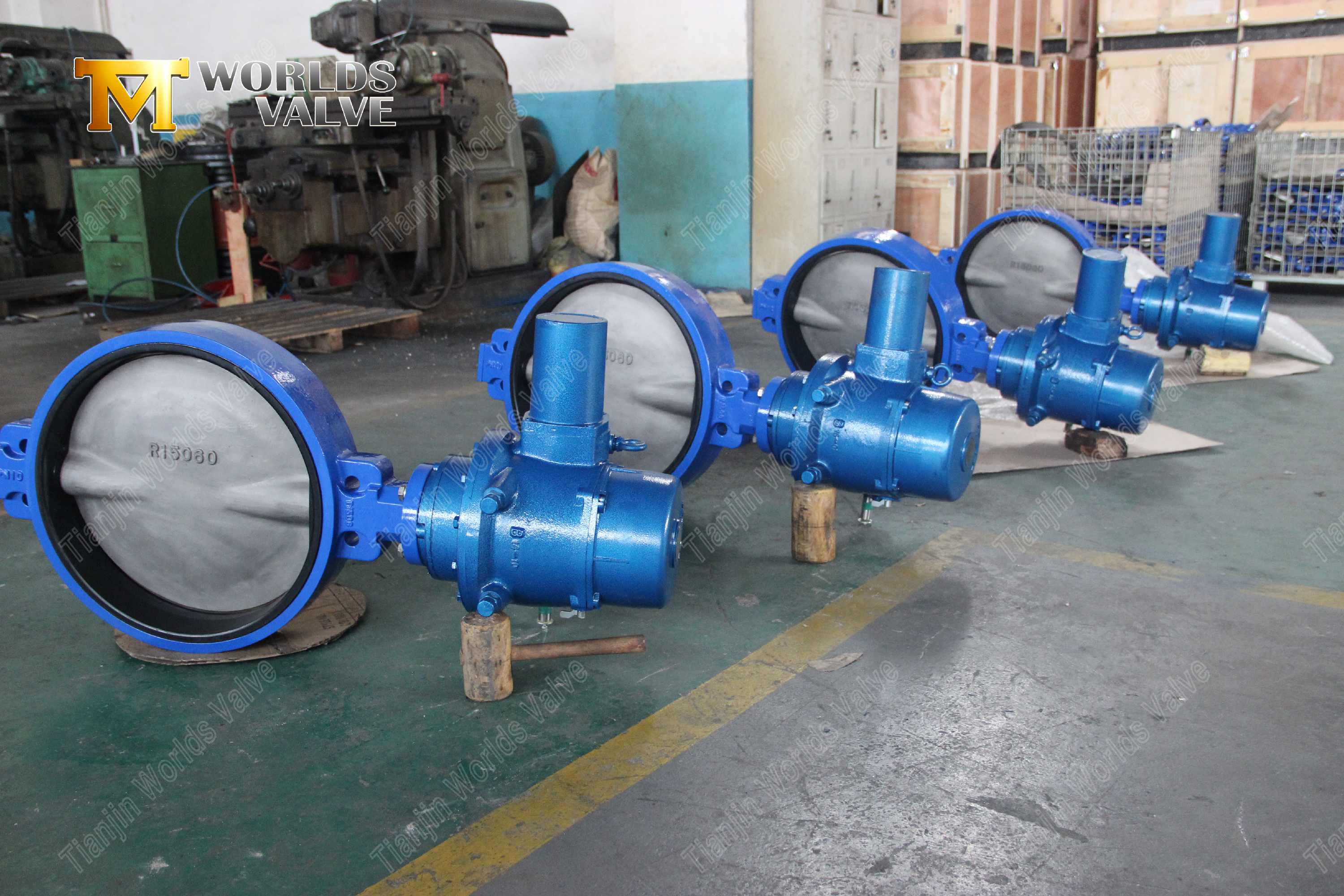 مقعد مطاطي خلفي صلب وصمام فراشة قرص SS-1 (2)