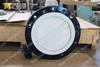 PTFE / PFA طلاء القرص سبليت تصميم الجسم فراشة صمام PN10 Class150 PN16