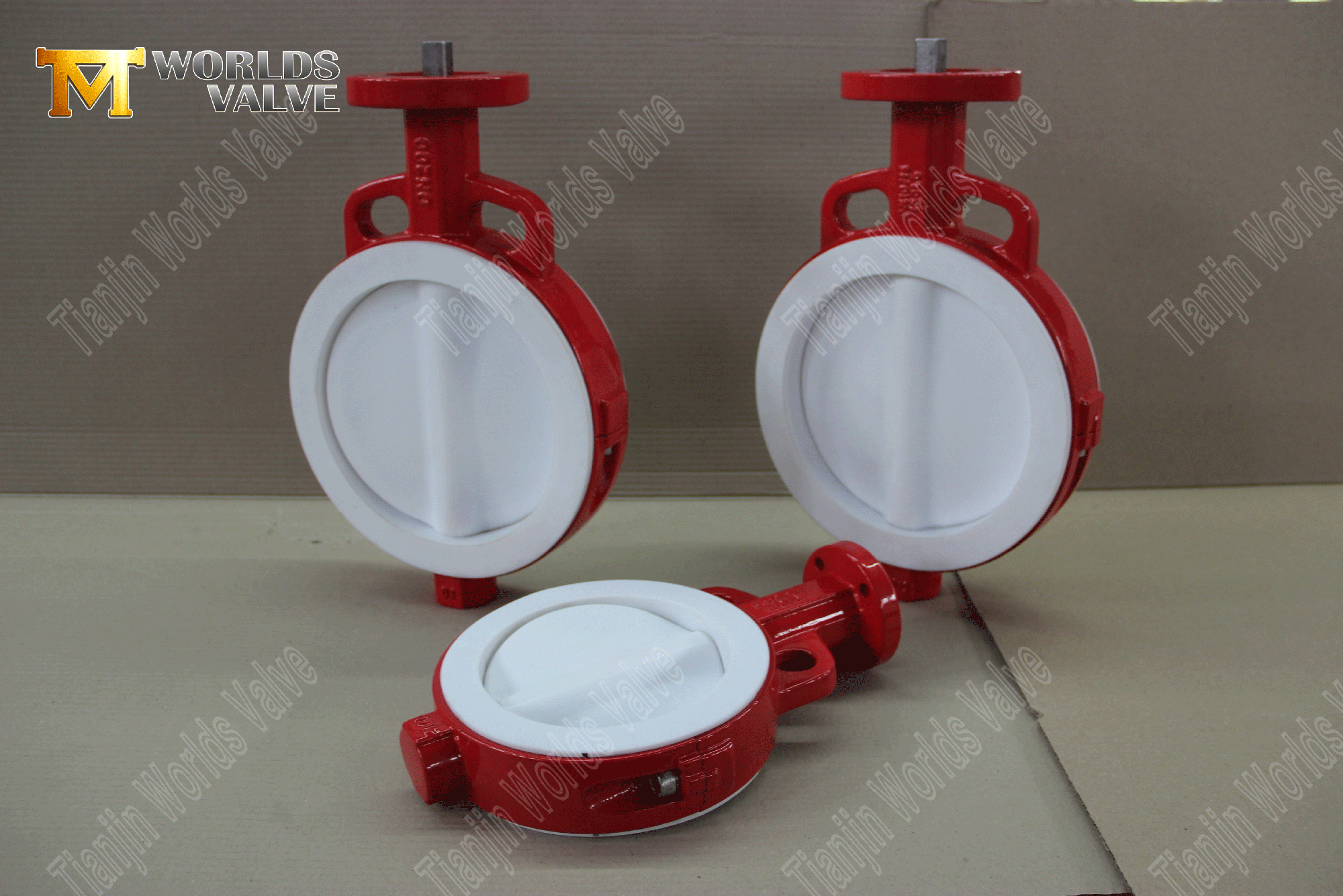 PTFE-butterfly-Vaves-Wafer-type-futterfly-vactory-from-china- (1)