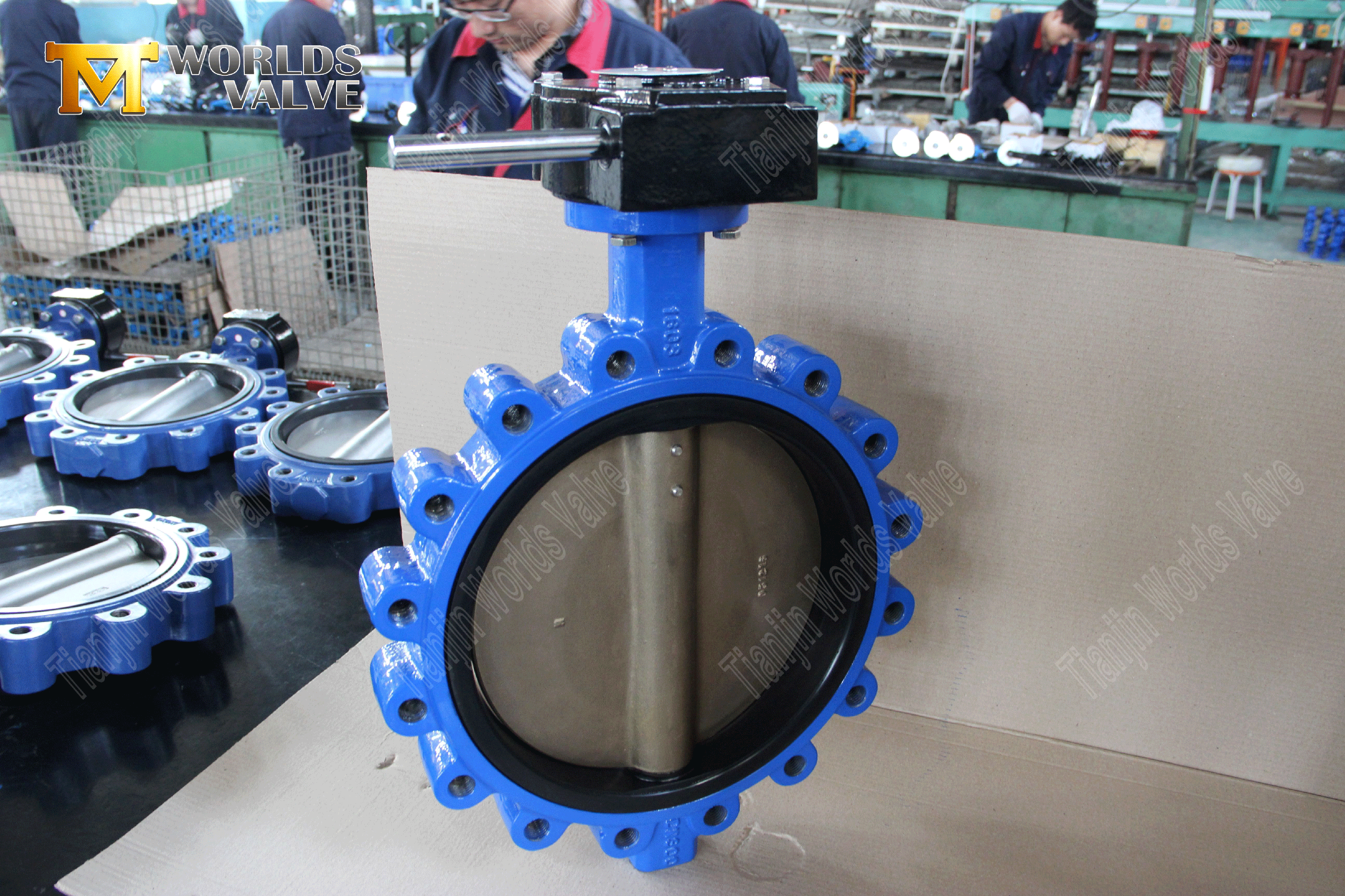 EPDM مقعد صمام فراشة عالي الضغط مع الشركة المصنعة لصمام Lug Type-Butterfly (2)