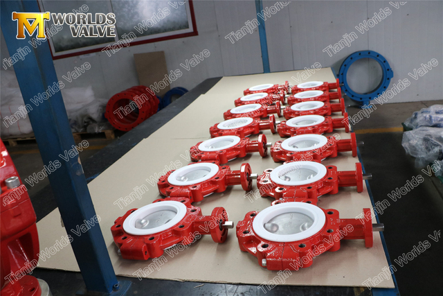 اثنان PCS تصميم الجسم PTFE Liner Butterfly Valves PN10 PN16 CLASS150